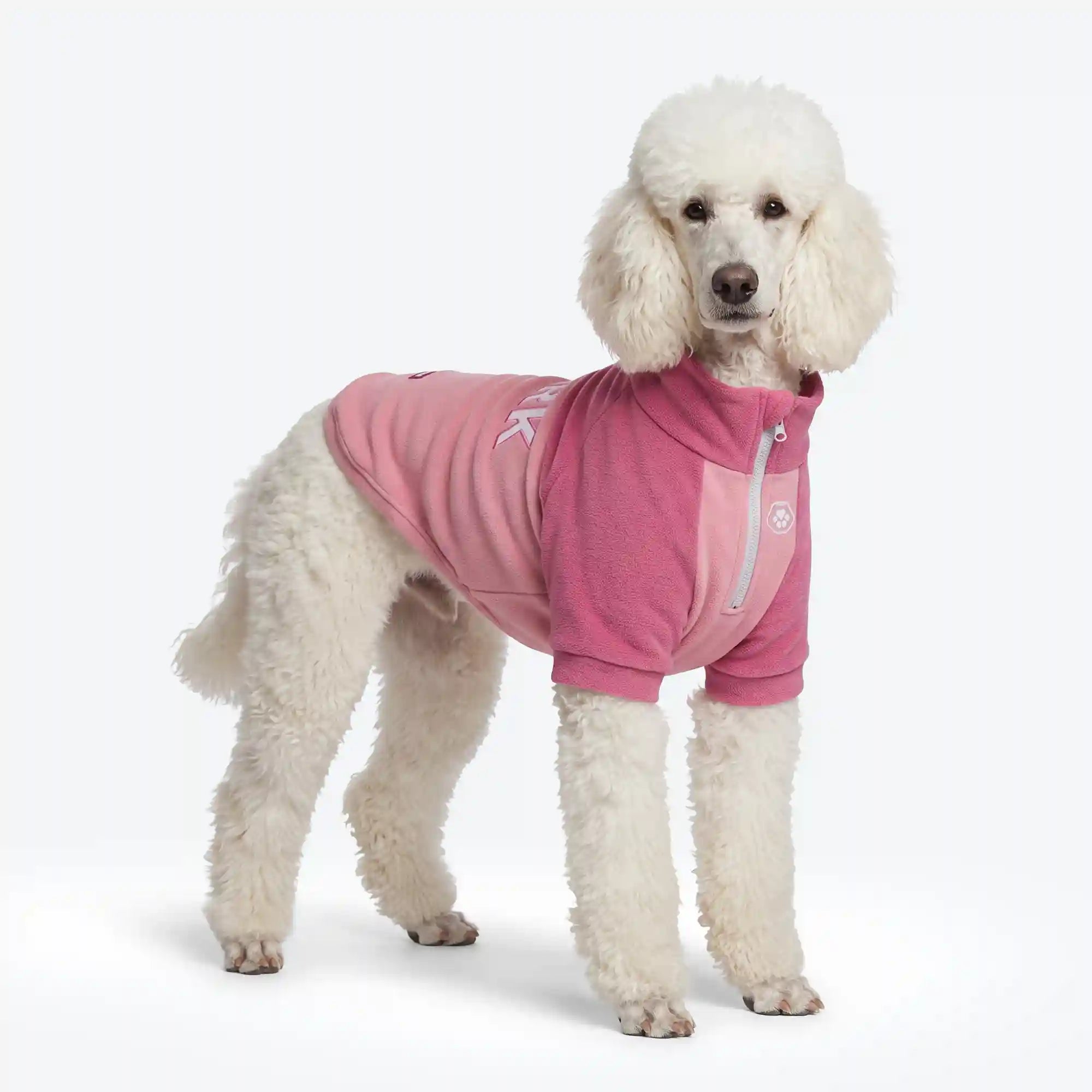 sparkpawsmaut.com