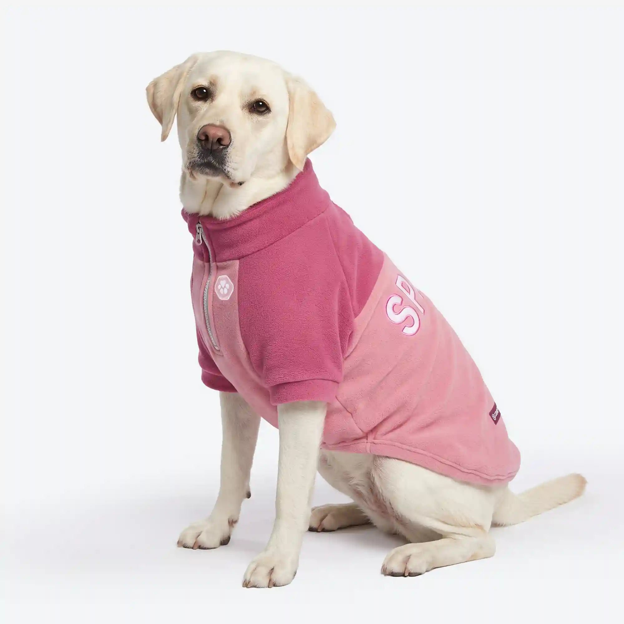 sparkpawsmaut.com