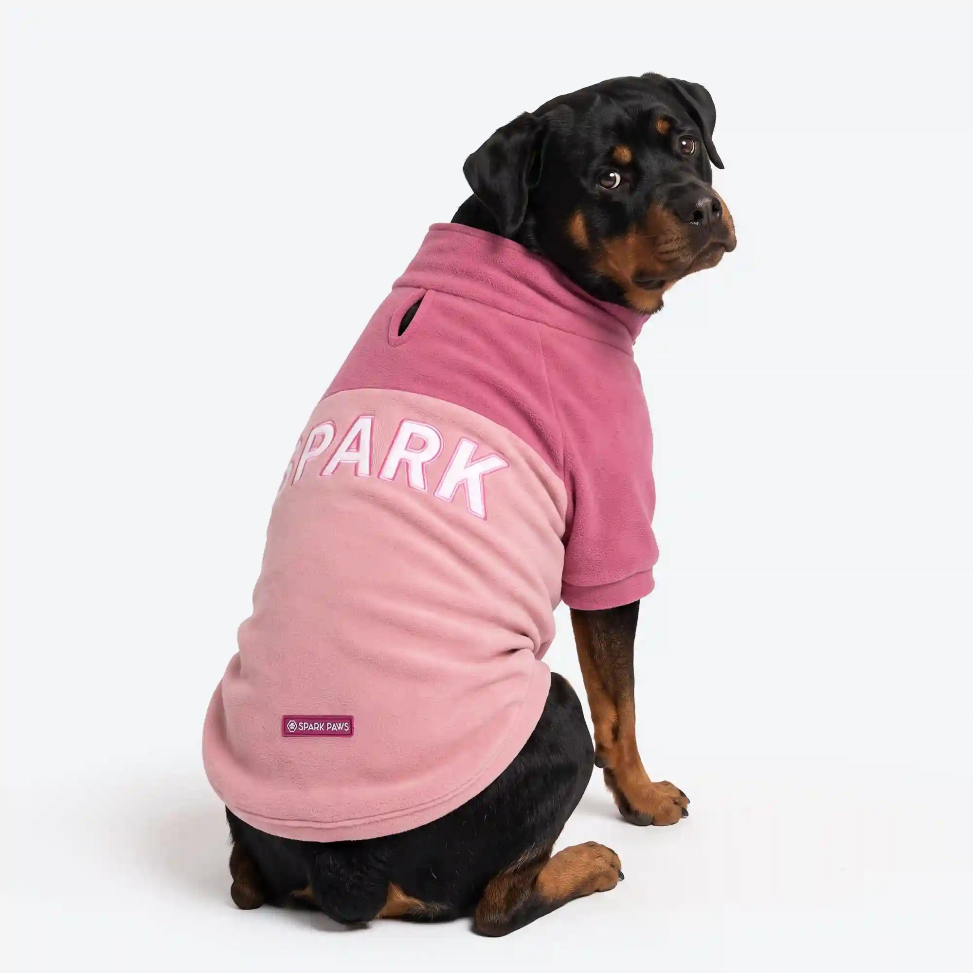 sparkpawsmaut.com