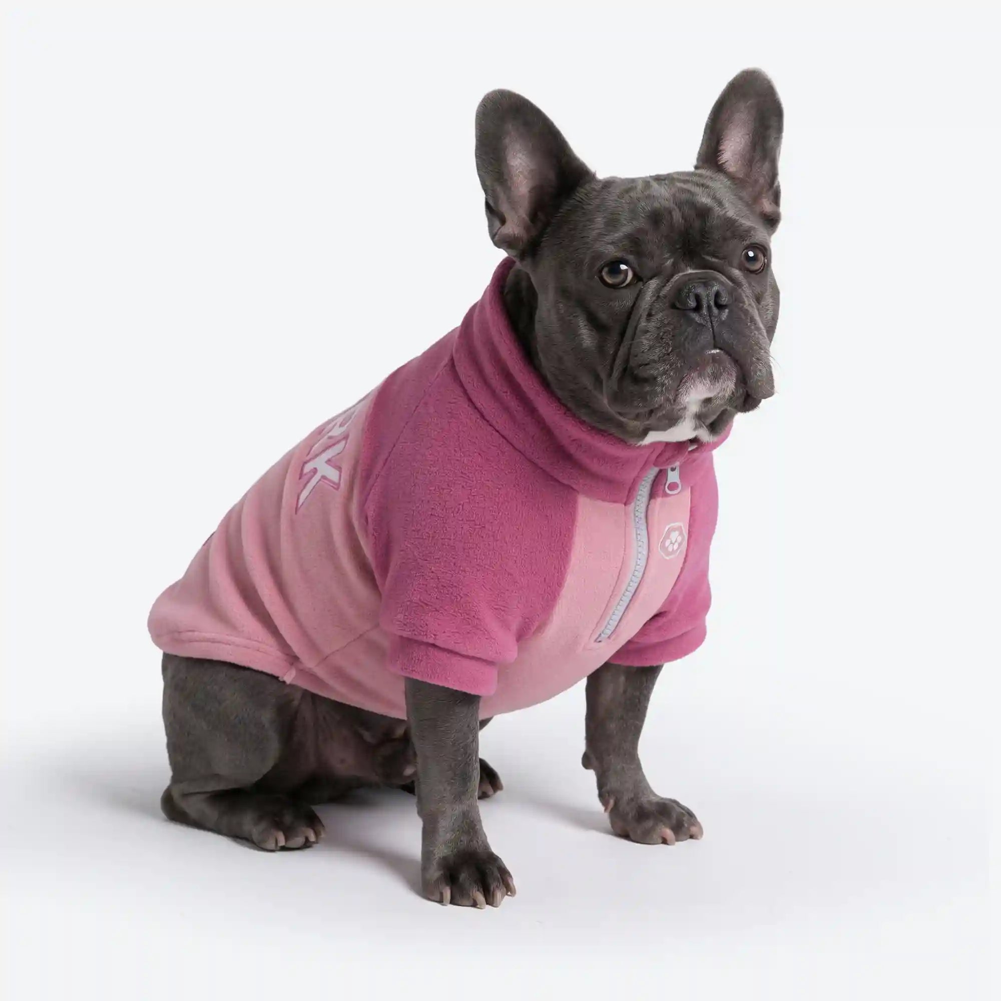 sparkpawsmaut.com