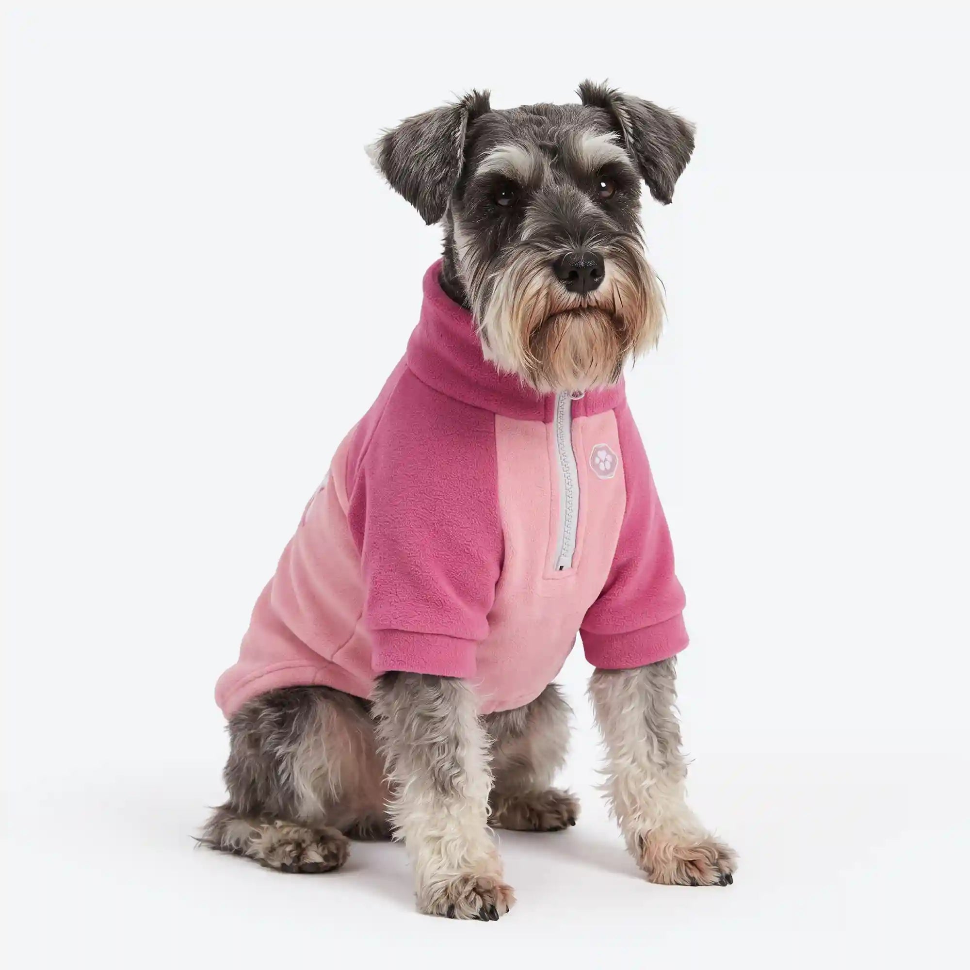 sparkpawsmaut.com