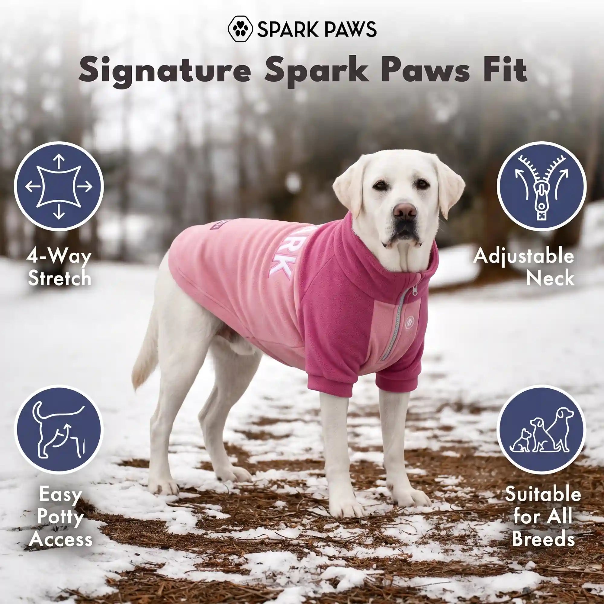 sparkpawsmaut.com