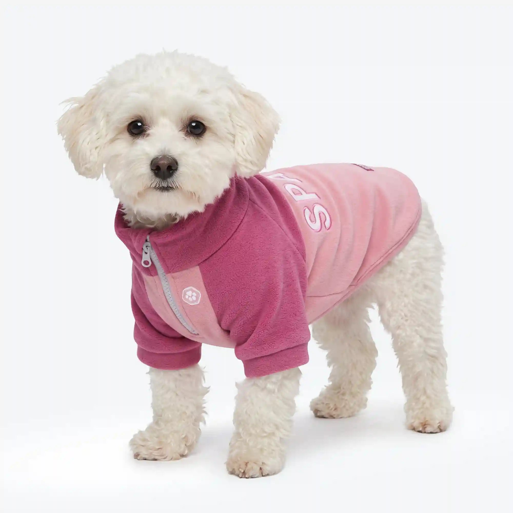 sparkpawsmaut.com