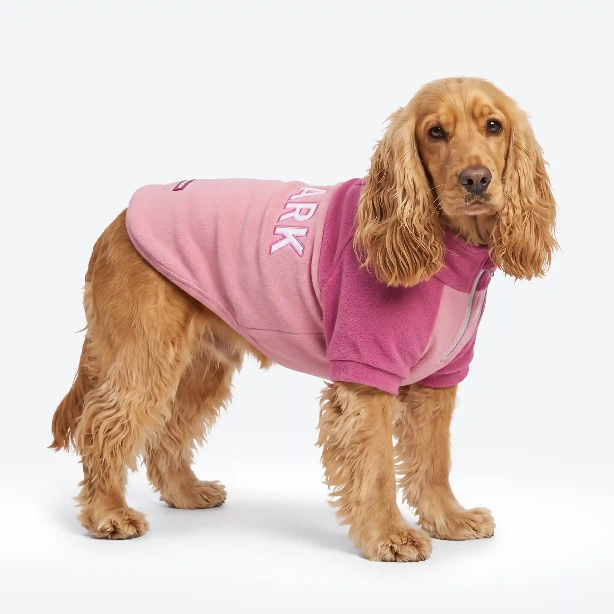 sparkpawsmaut.com