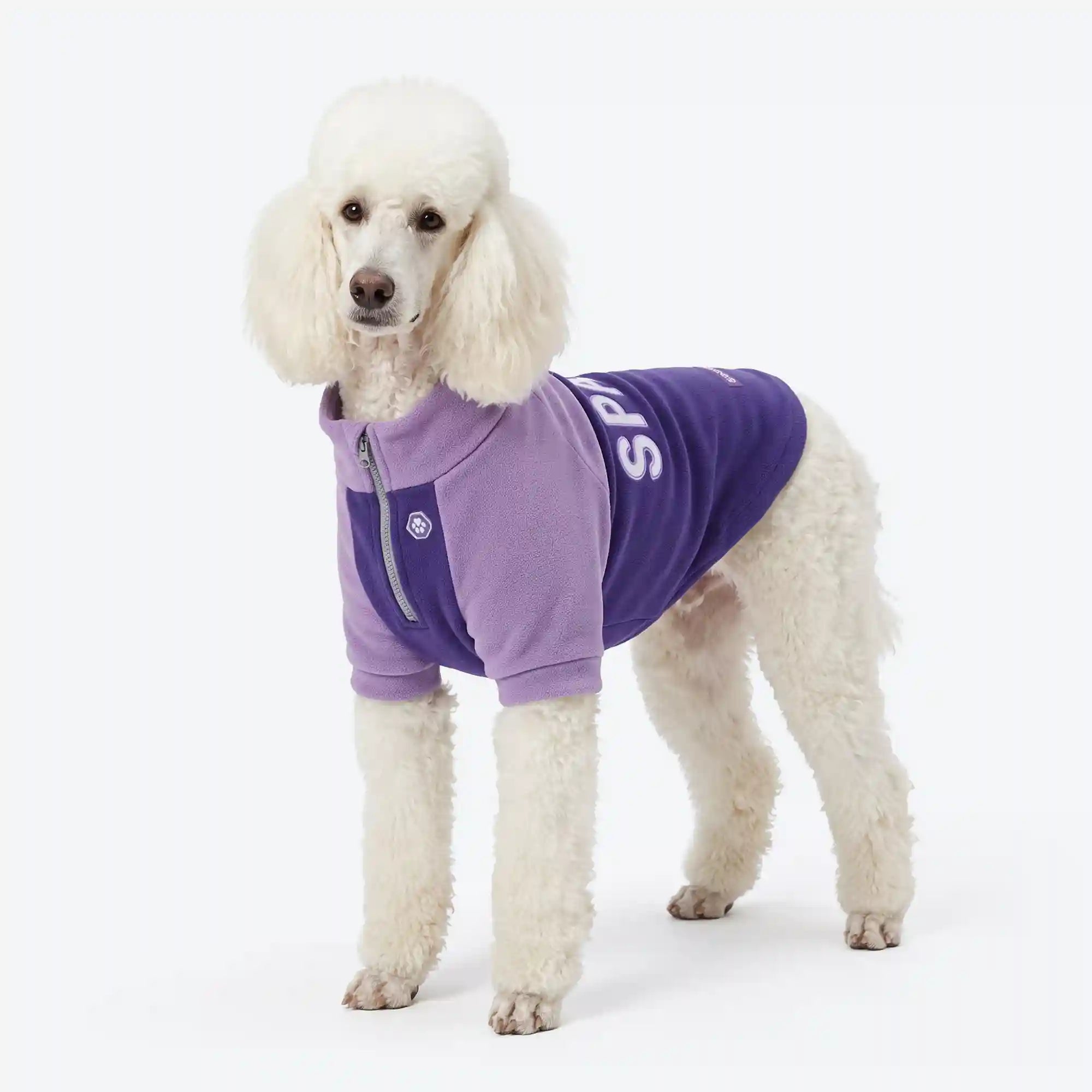 sparkpawsmaut.com
