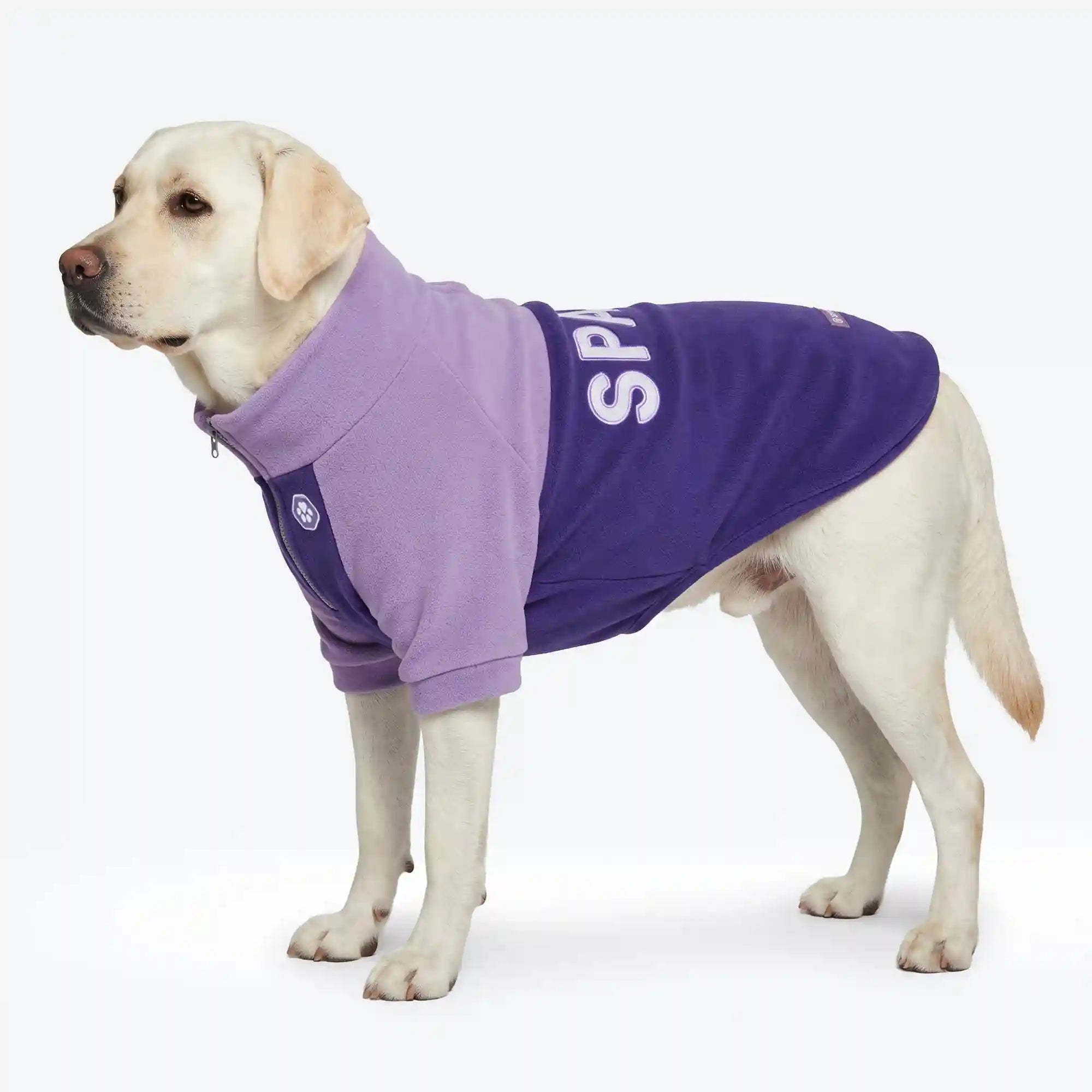 sparkpawsmaut.com