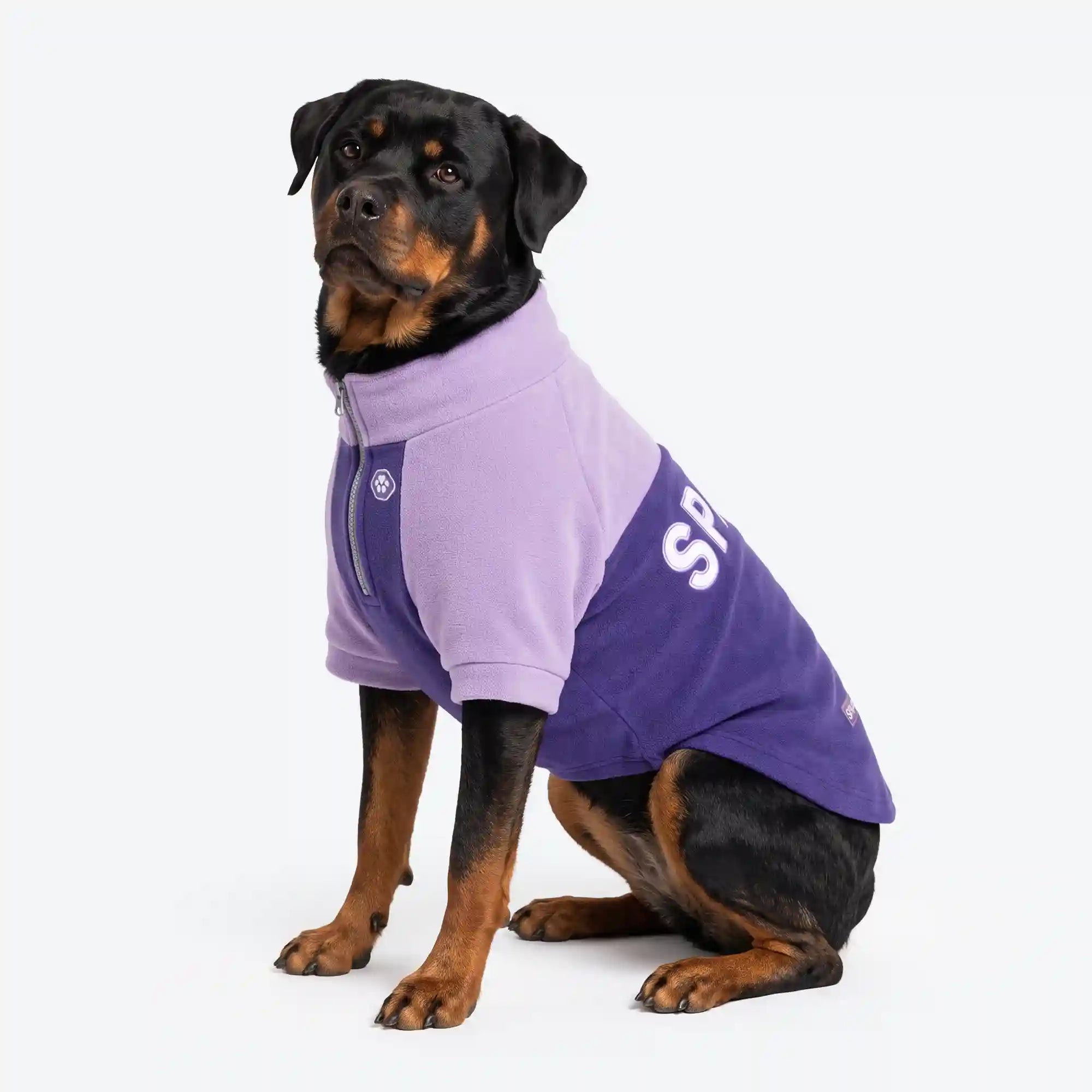 sparkpawsmaut.com