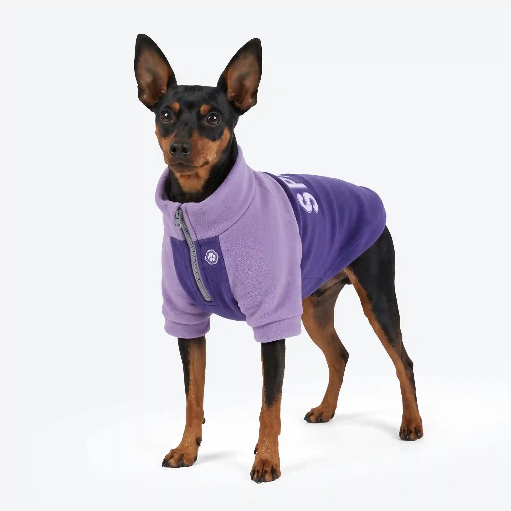 sparkpawsmaut.com