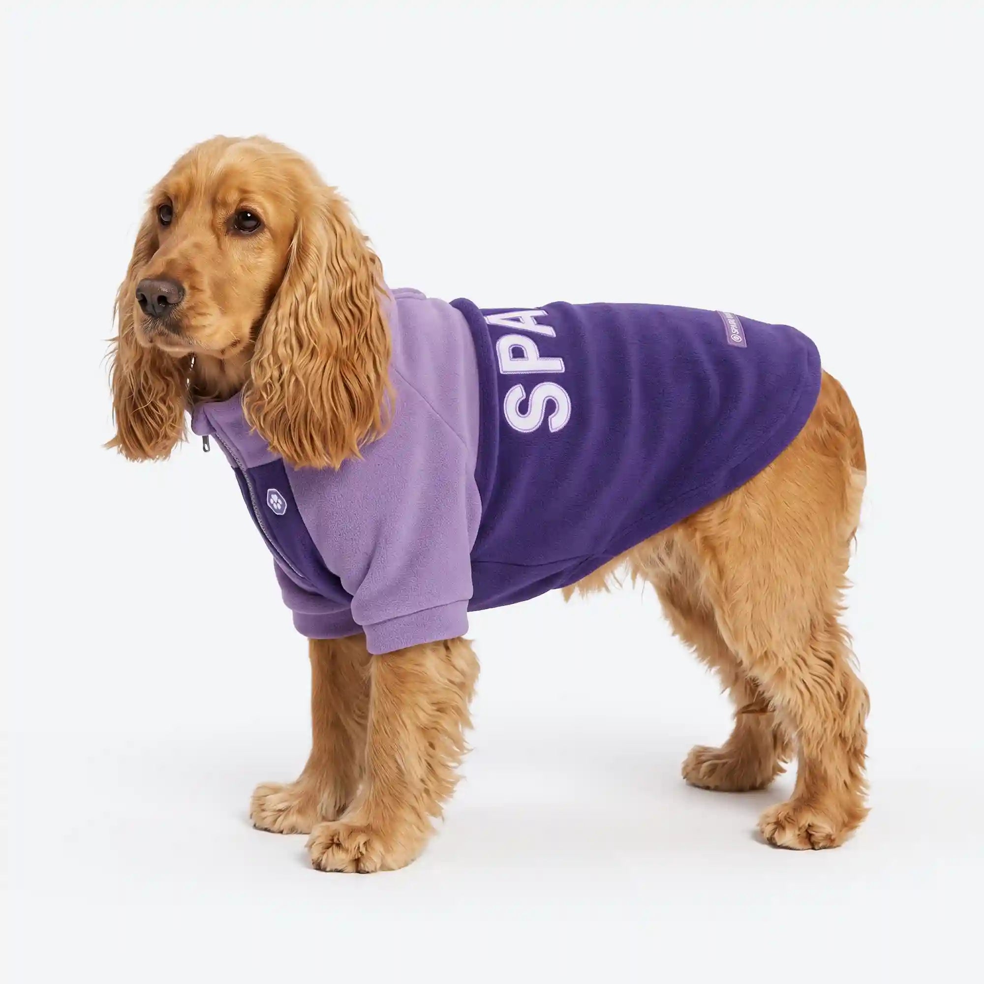 sparkpawsmaut.com