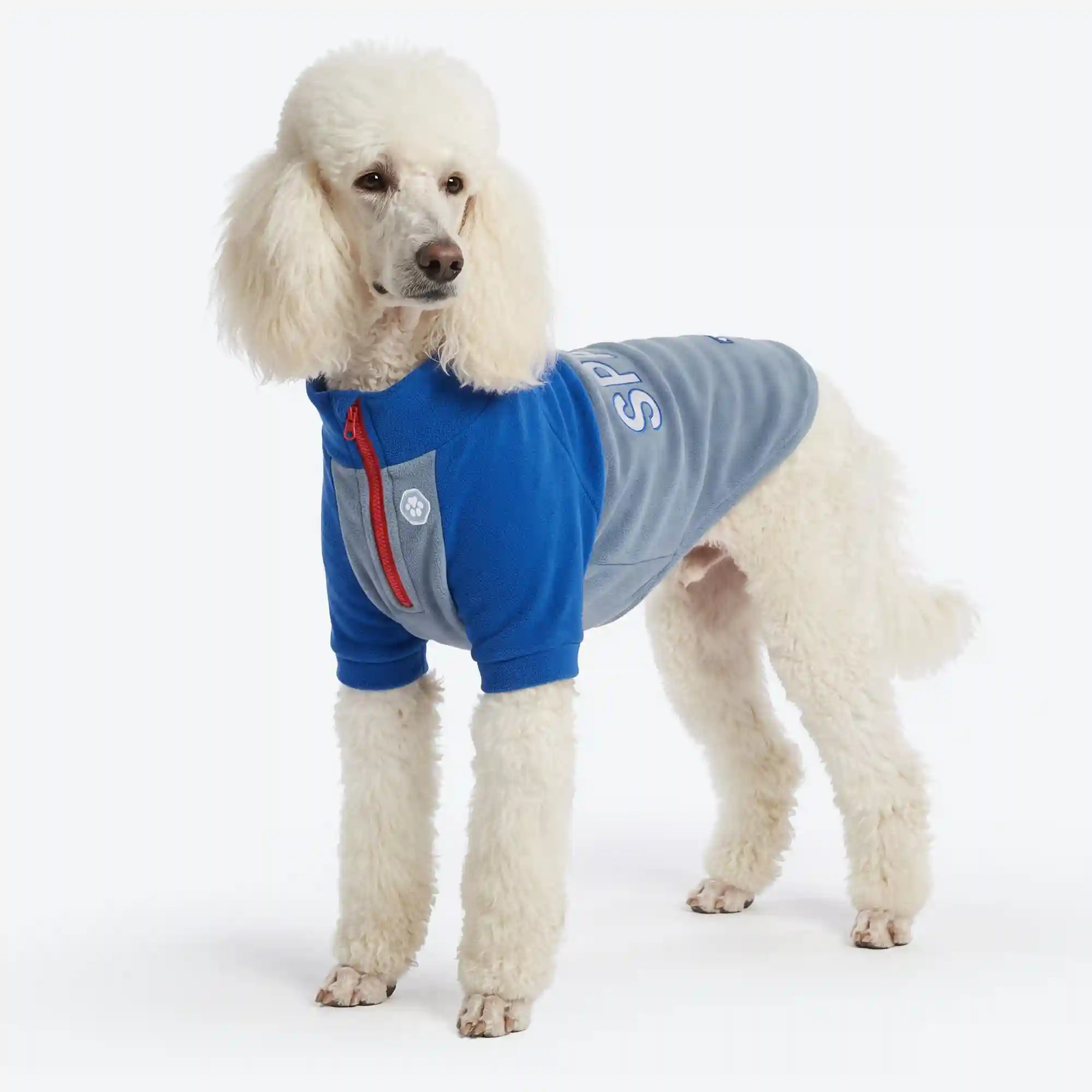 sparkpawsmaut.com