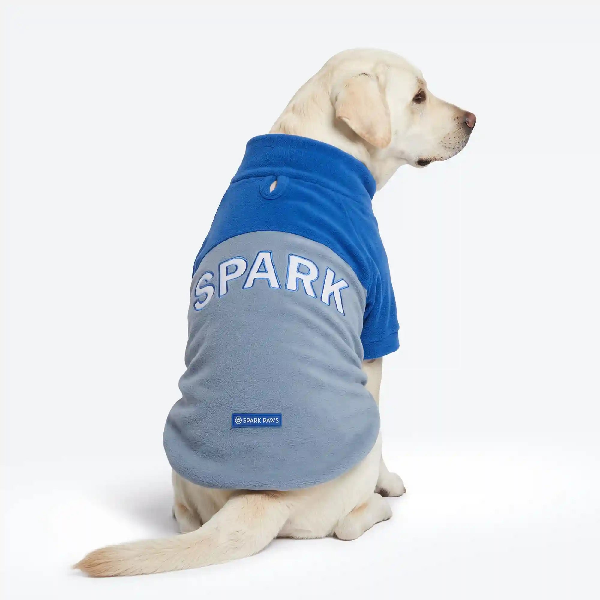 sparkpawsmaut.com