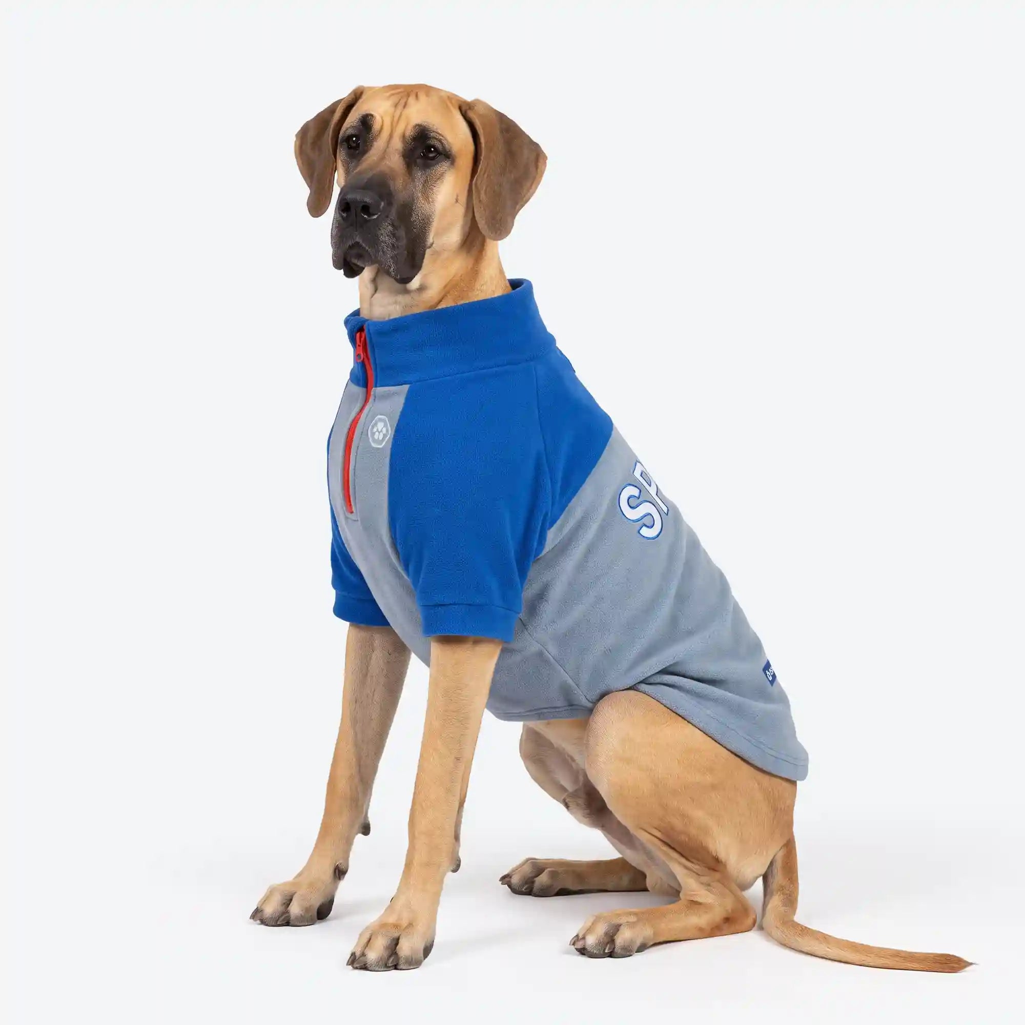 sparkpawsmaut.com