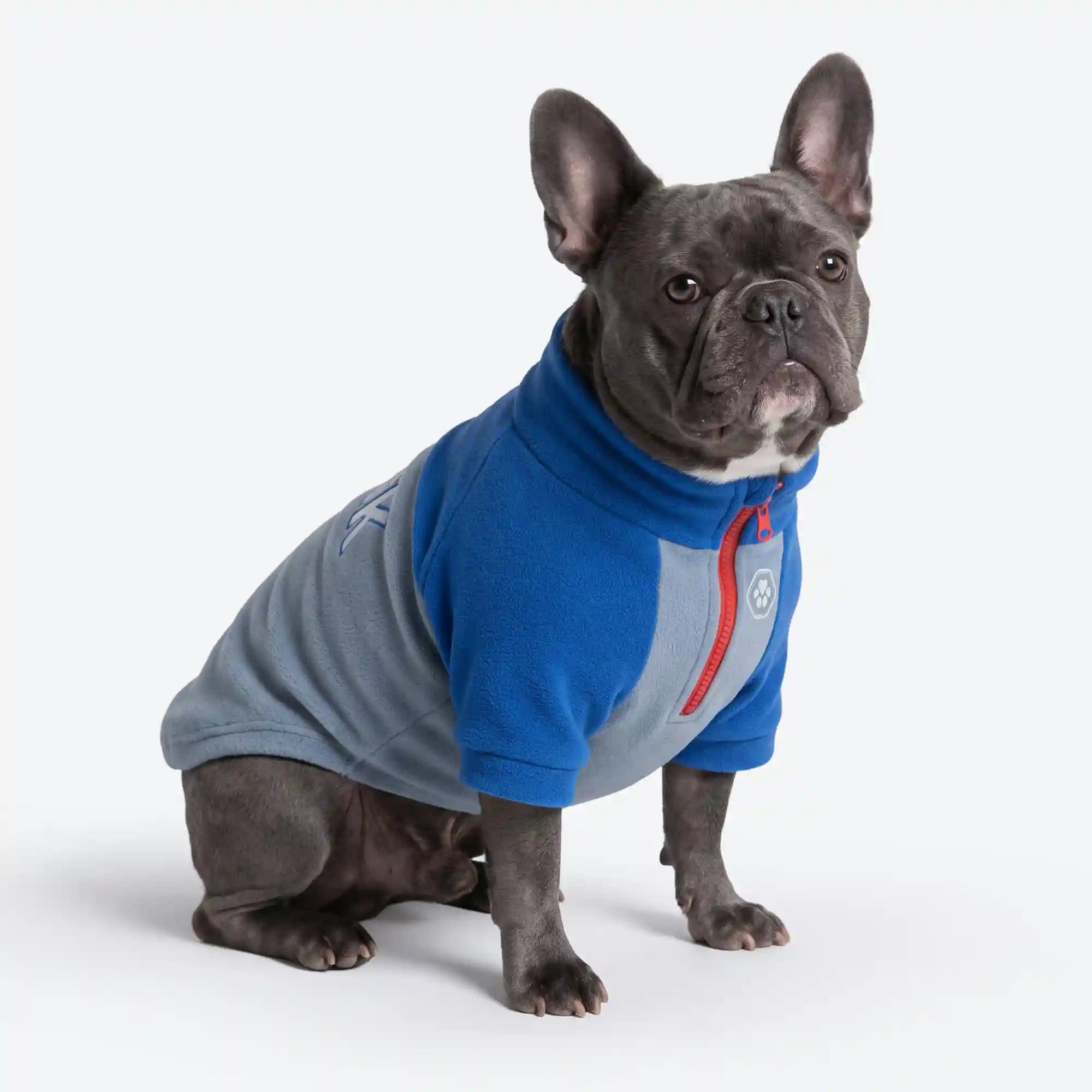 sparkpawsmaut.com