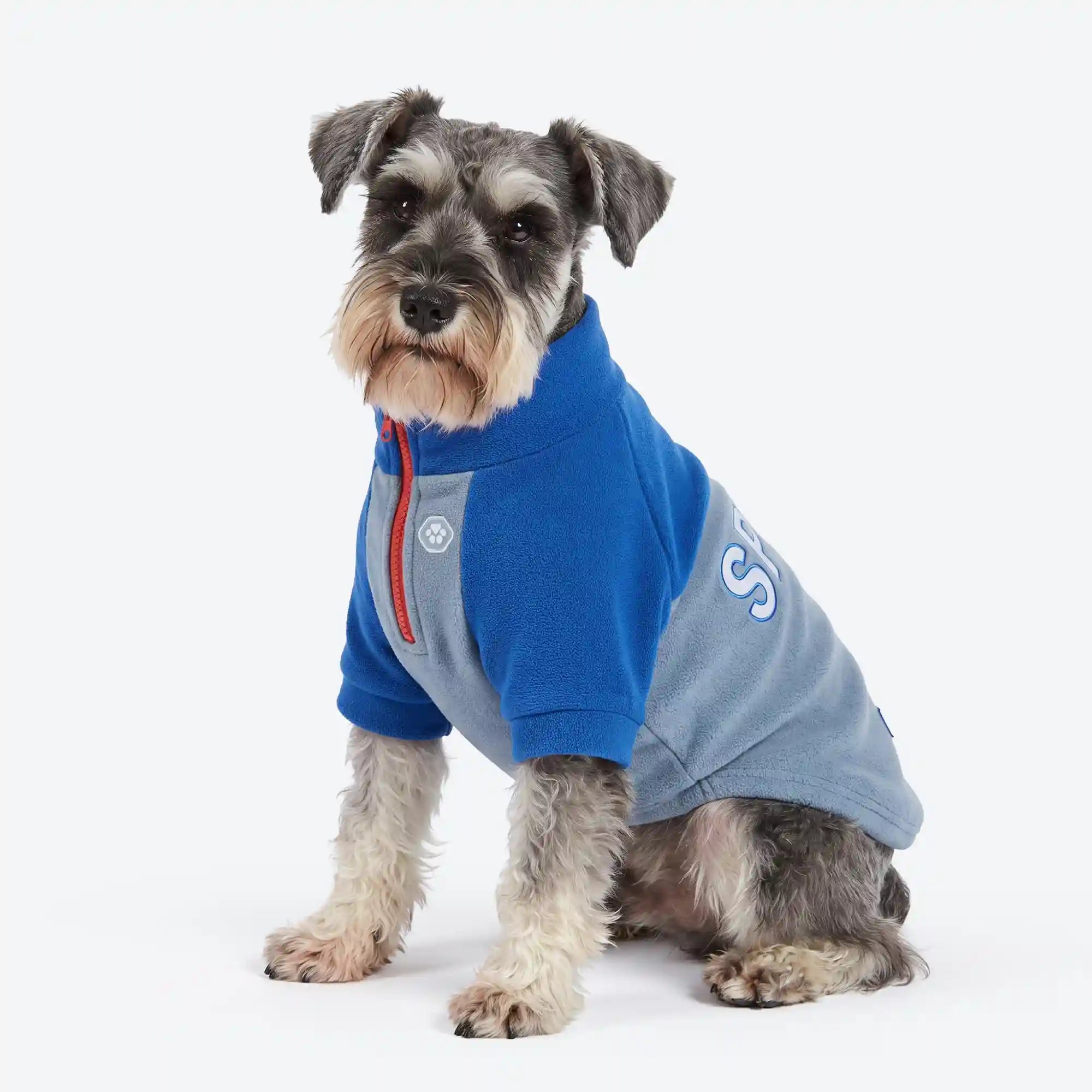 sparkpawsmaut.com