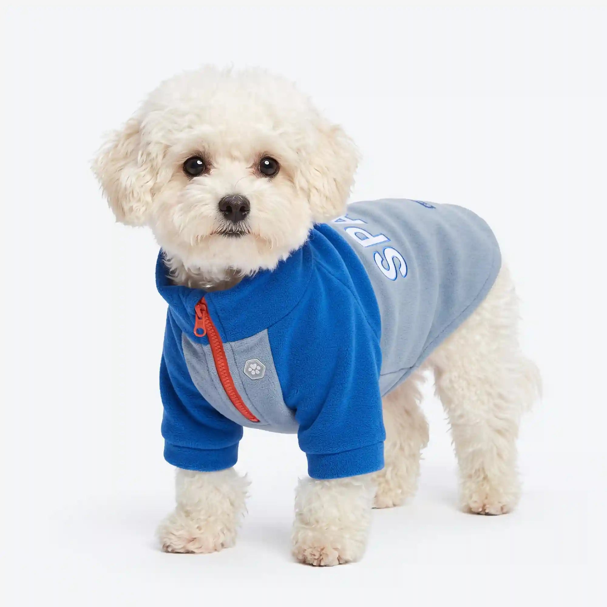 sparkpawsmaut.com