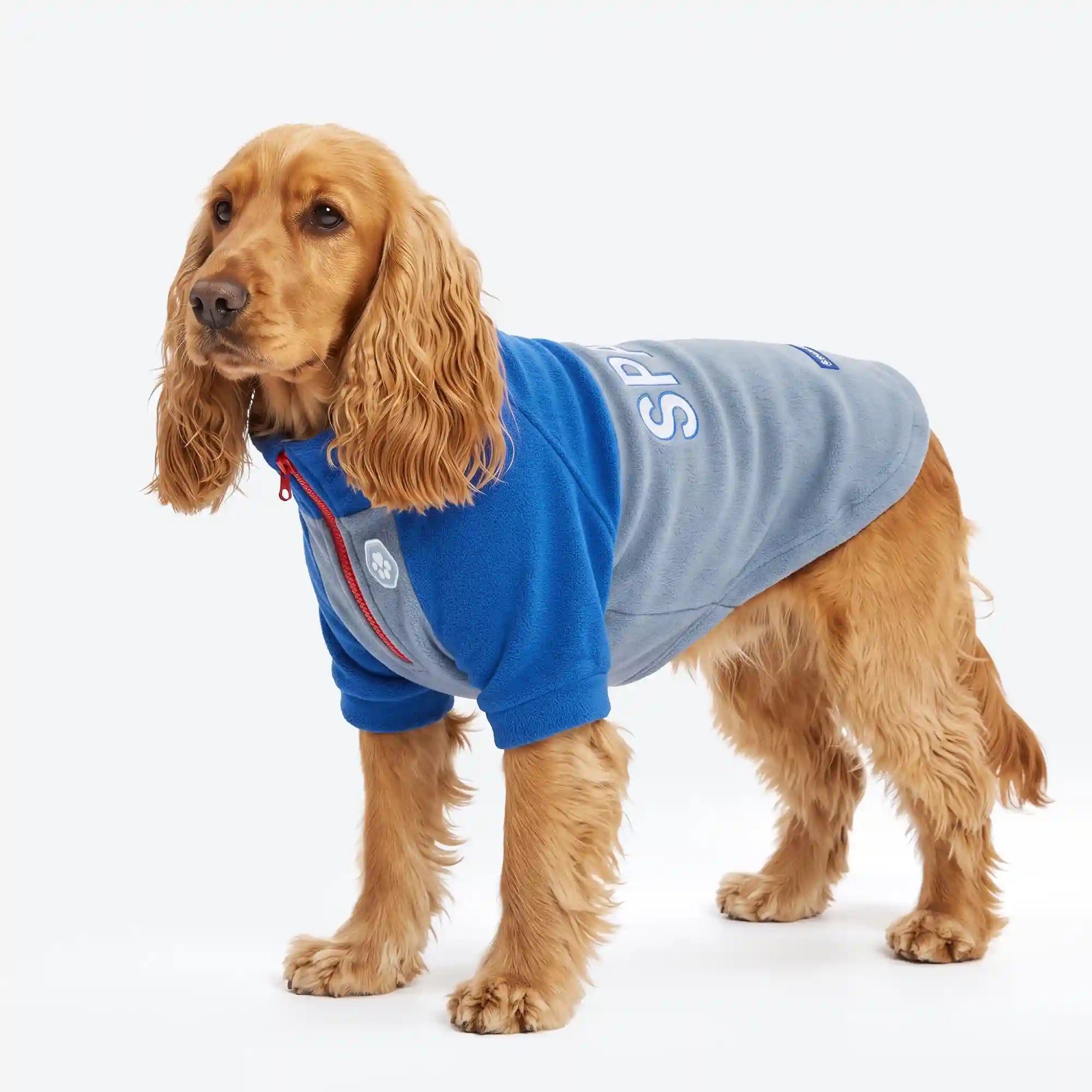 sparkpawsmaut.com