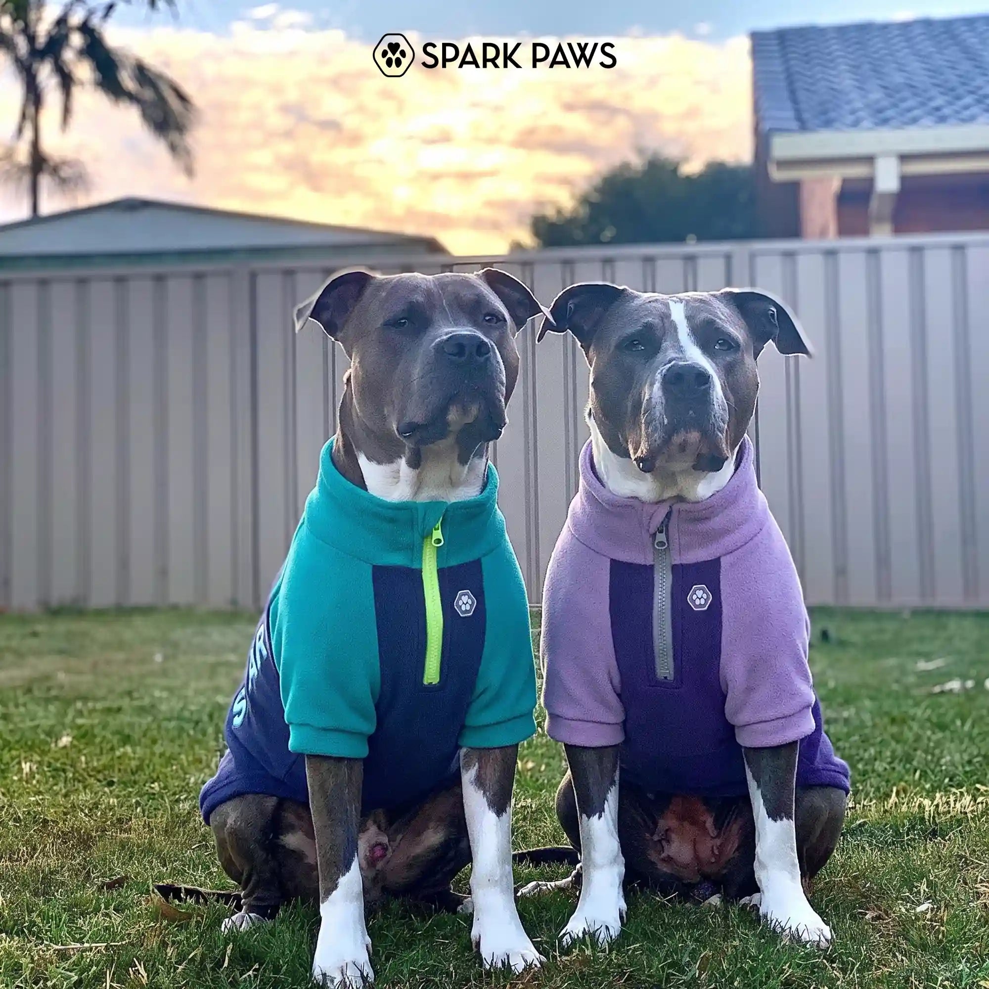 sparkpawsmaut.com