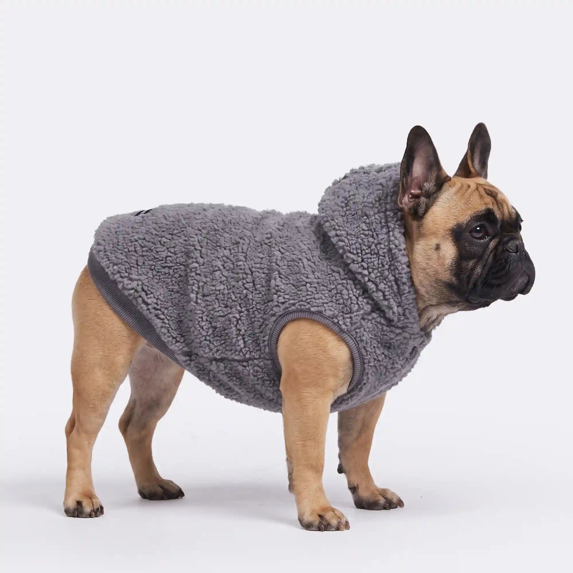 sparkpawsmaut.com