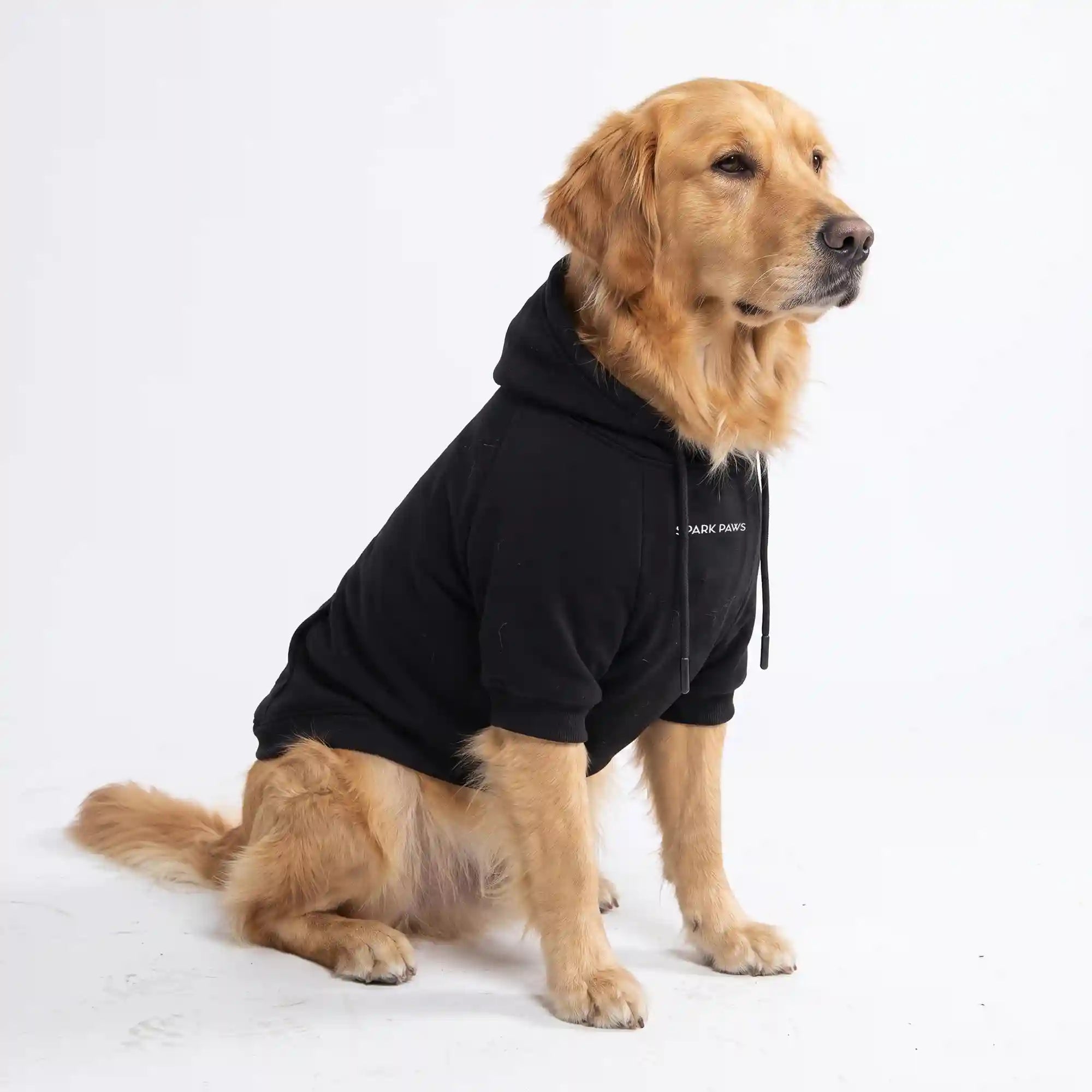 sparkpawsmaut.com