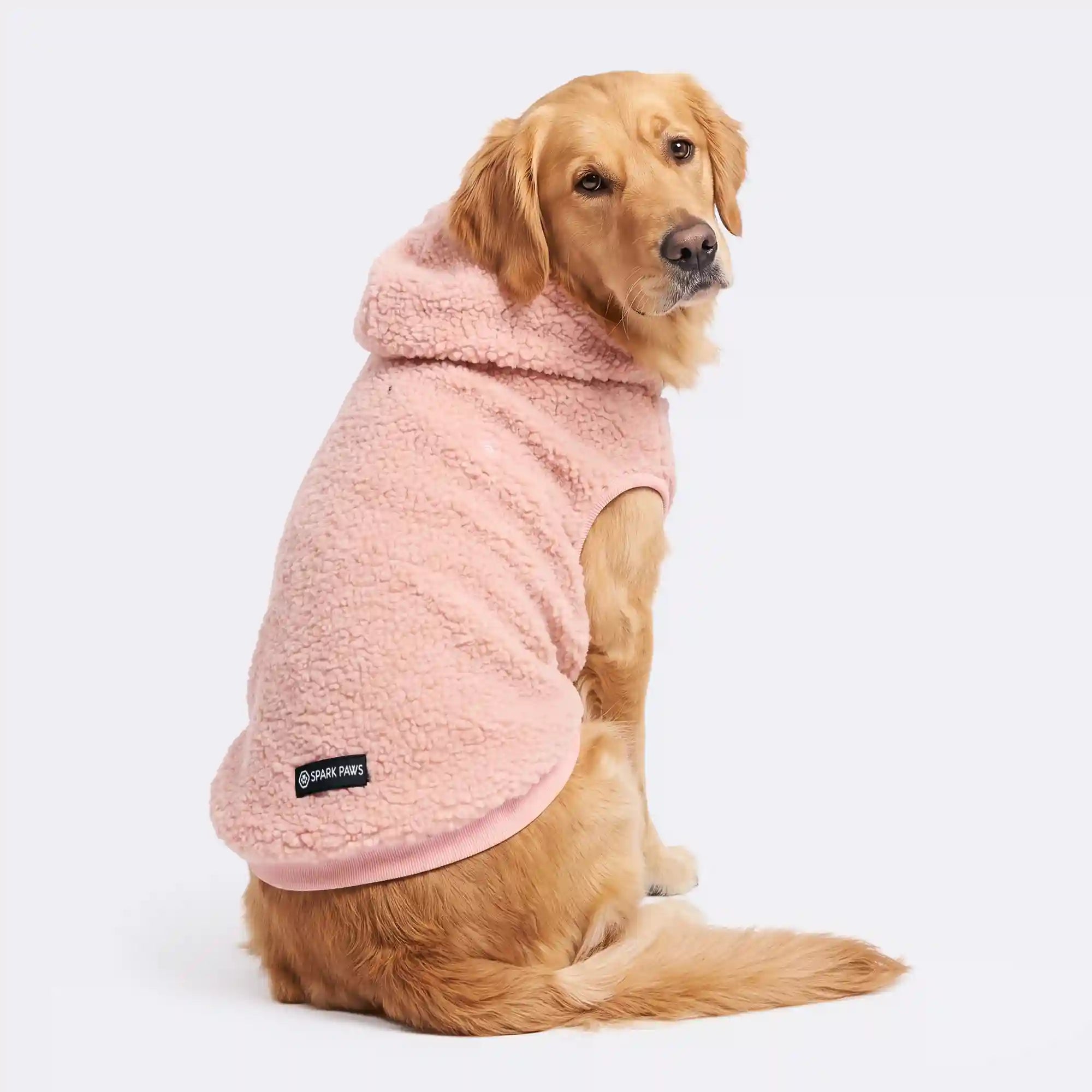 sparkpawsmaut.com