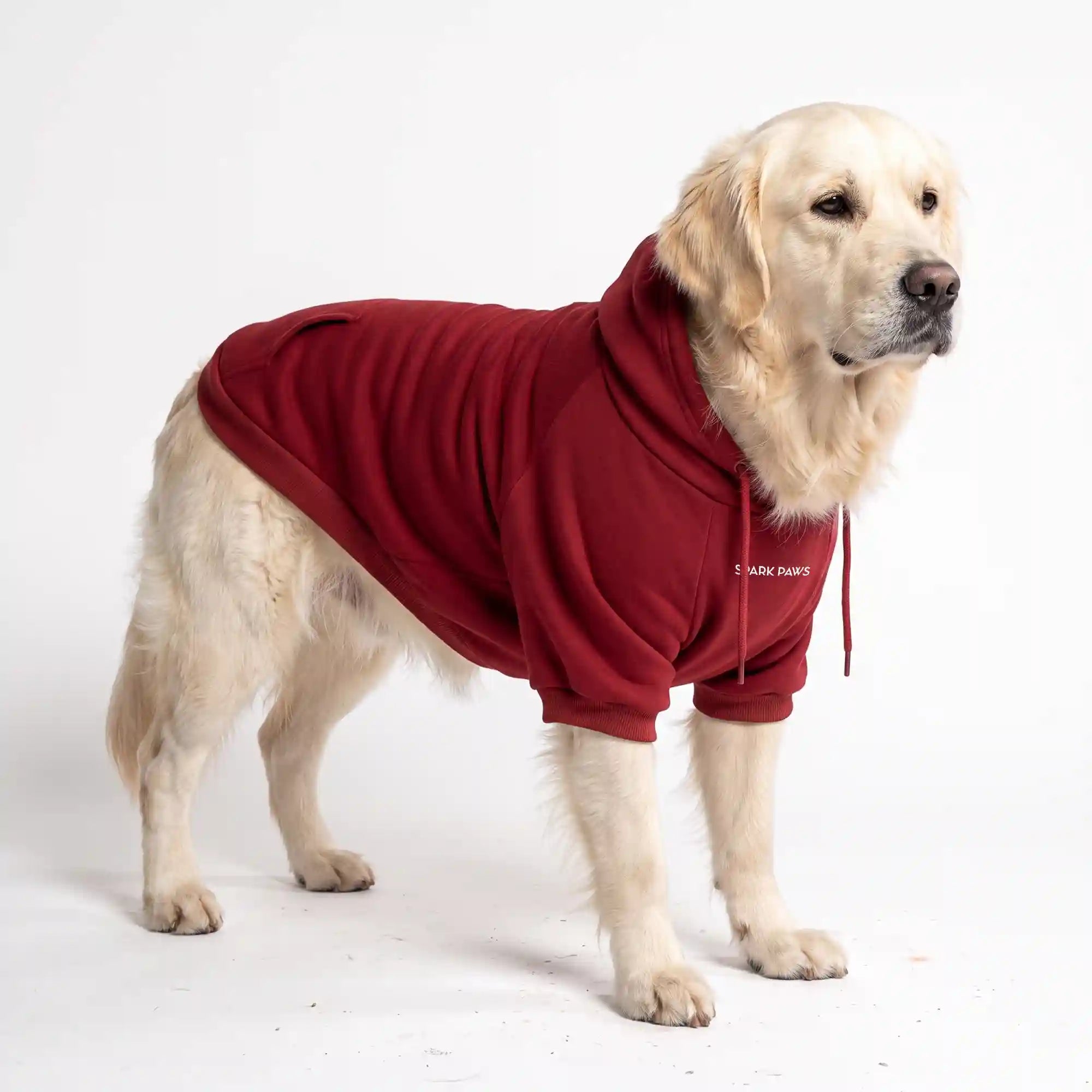 sparkpawsmaut.com