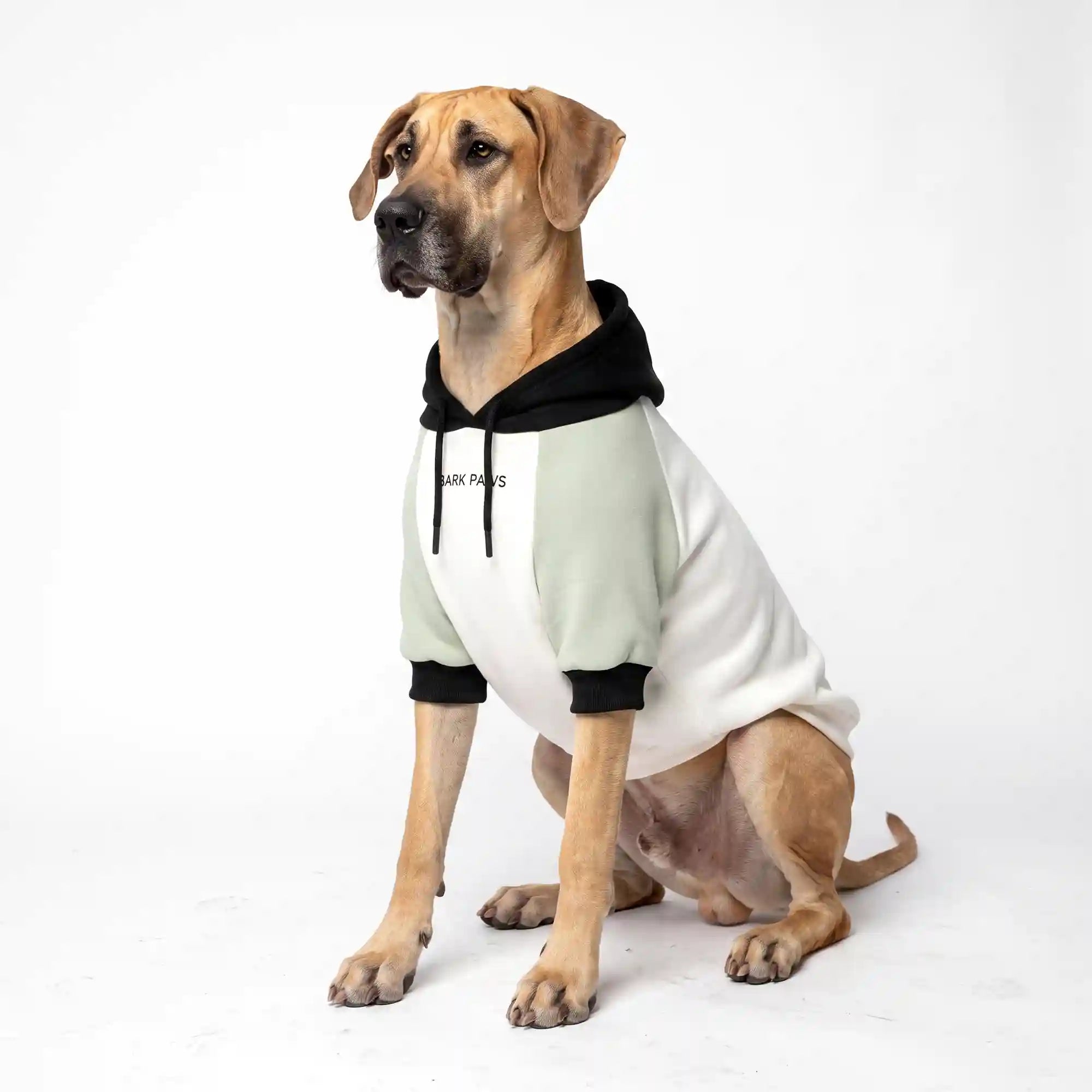 sparkpawsmaut.com