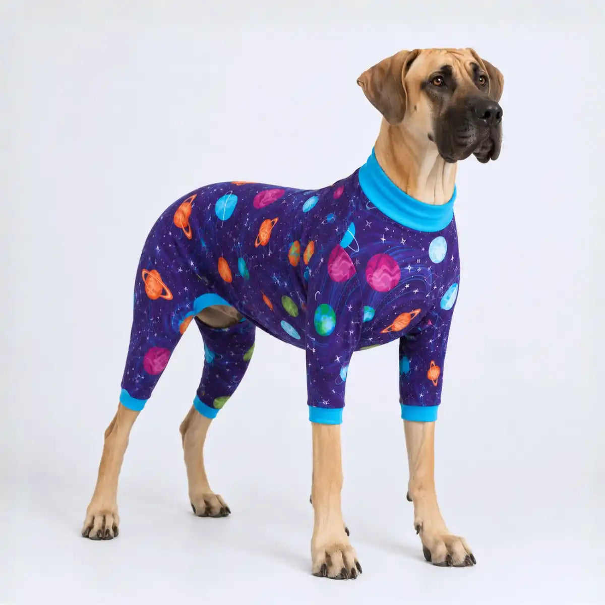 sparkpawsmaut.com