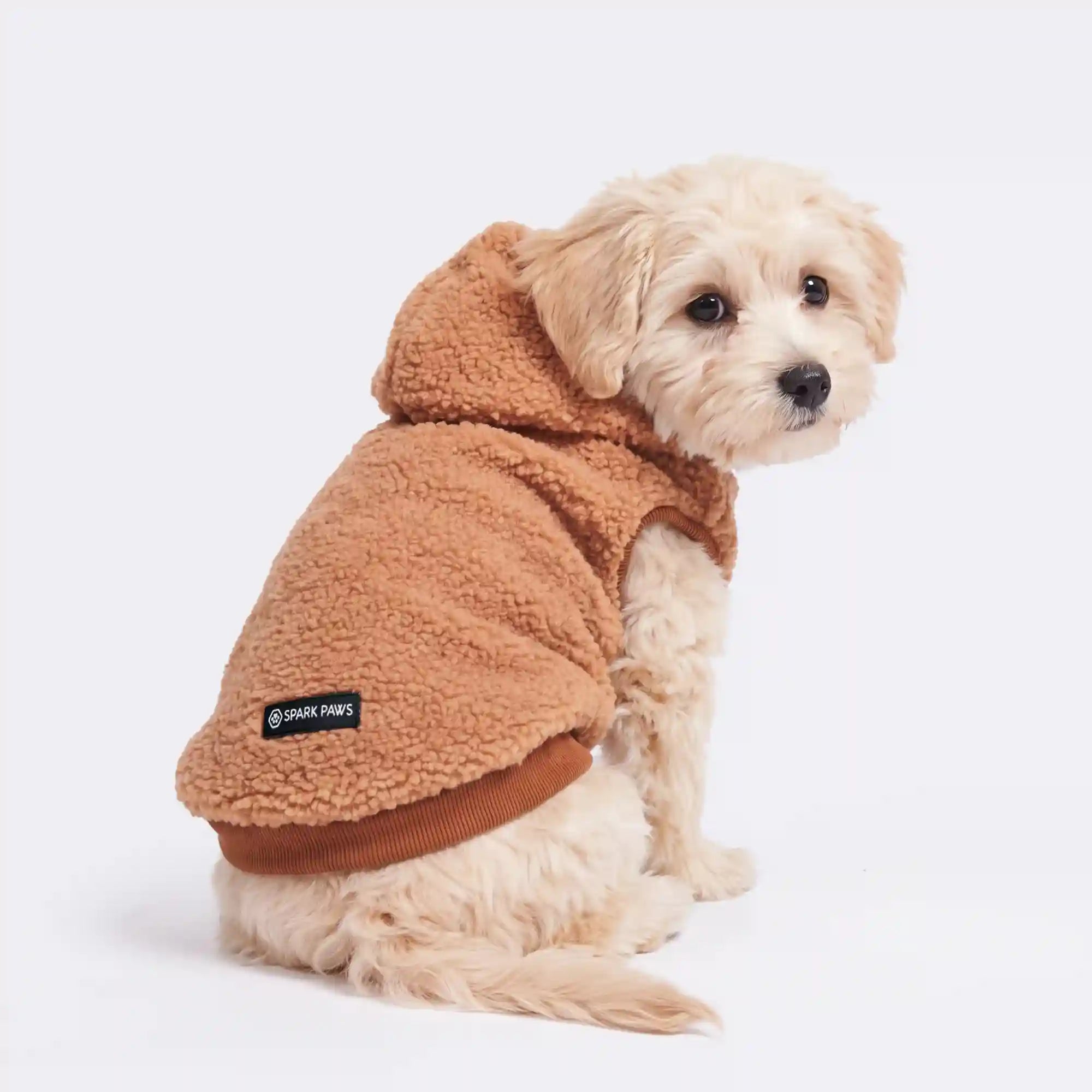 sparkpawsmaut.com