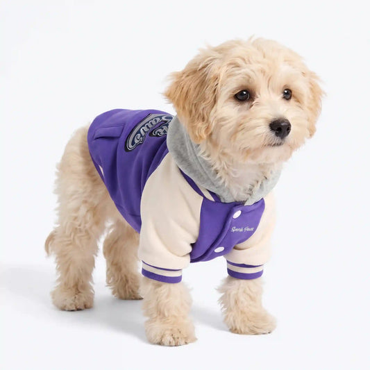 Dog Varsity Jacket - Purple