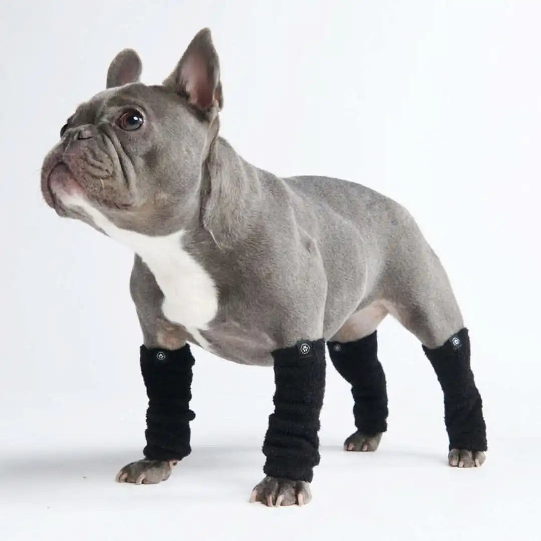 sparkpawsmaut.com