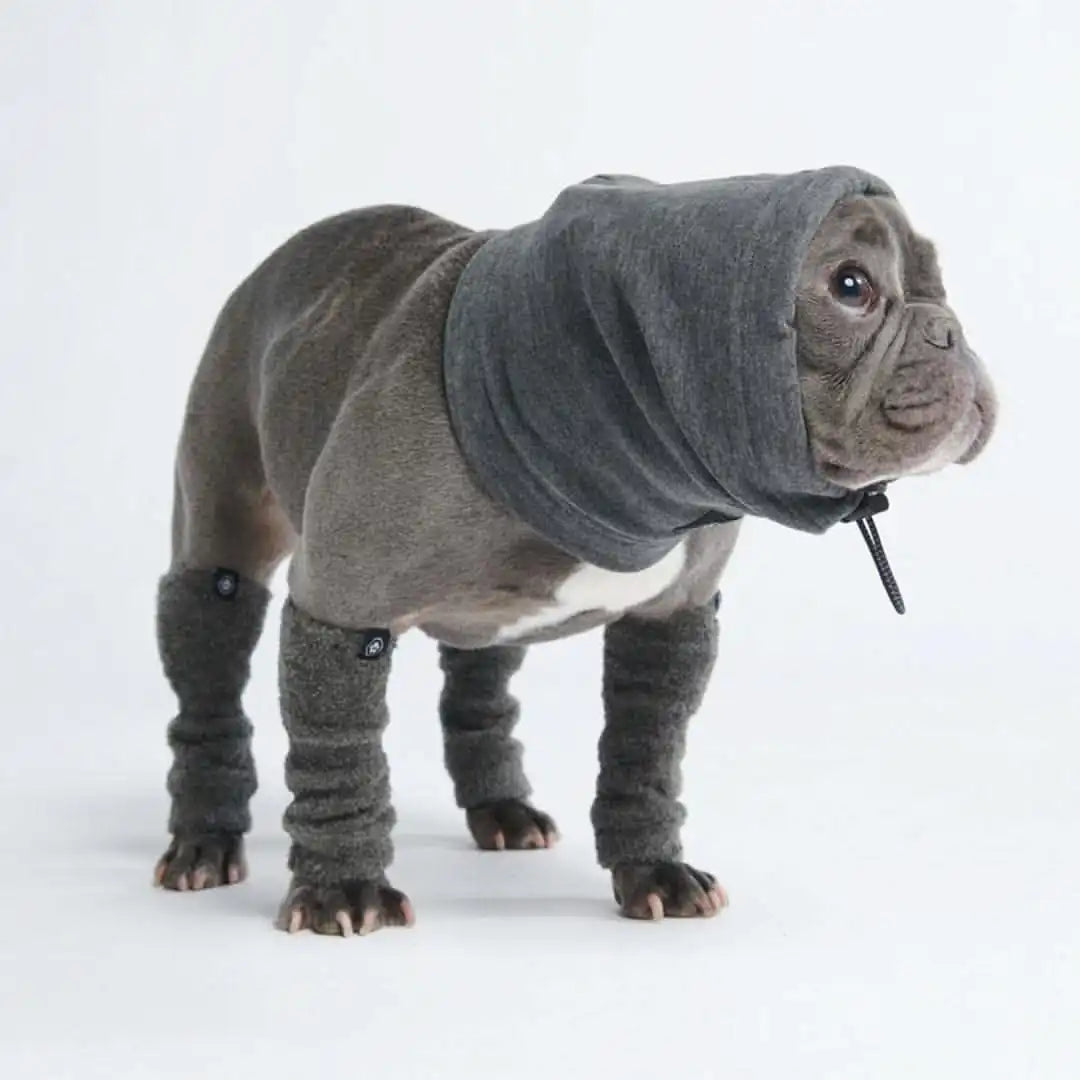 sparkpawsmaut.com