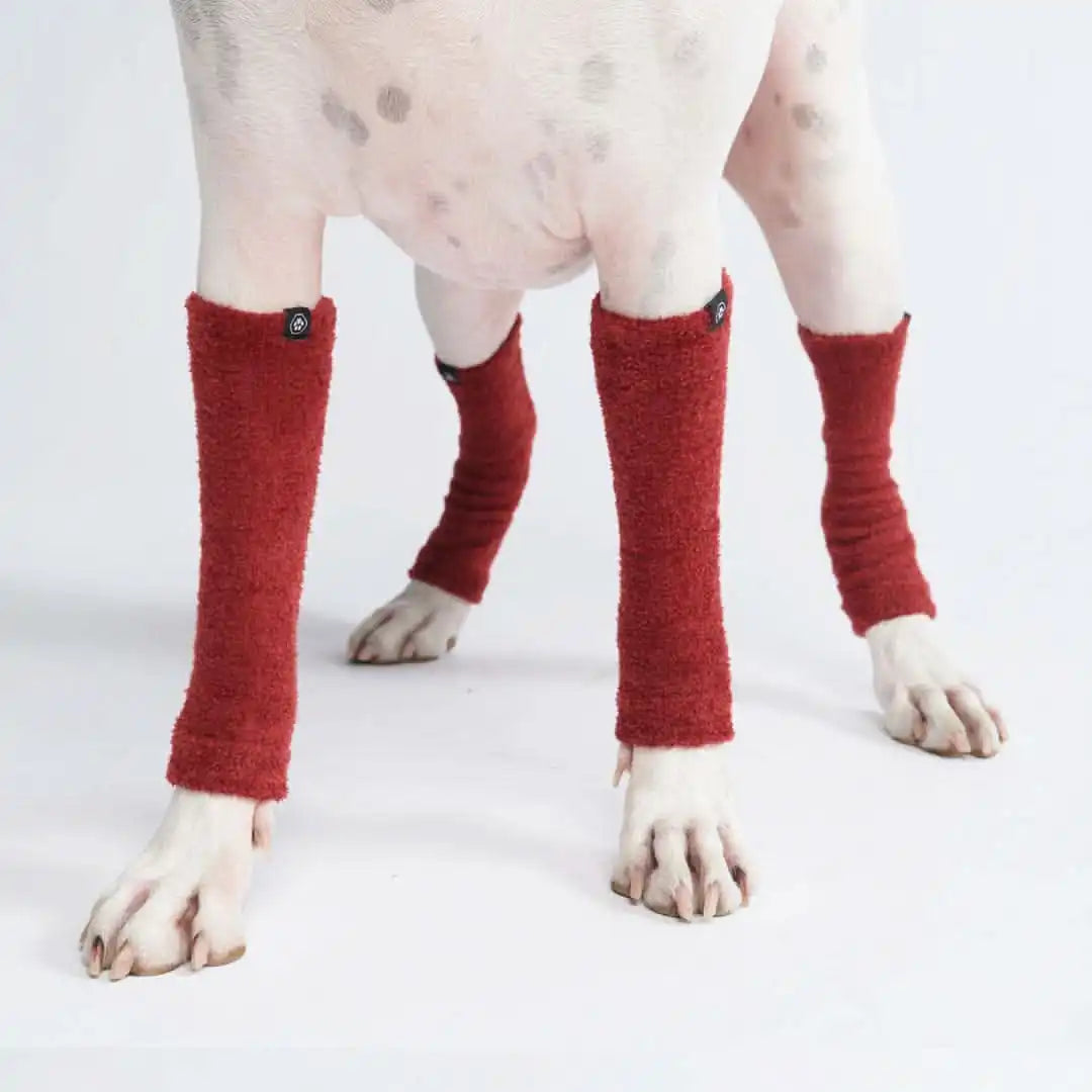 sparkpawsmaut.com