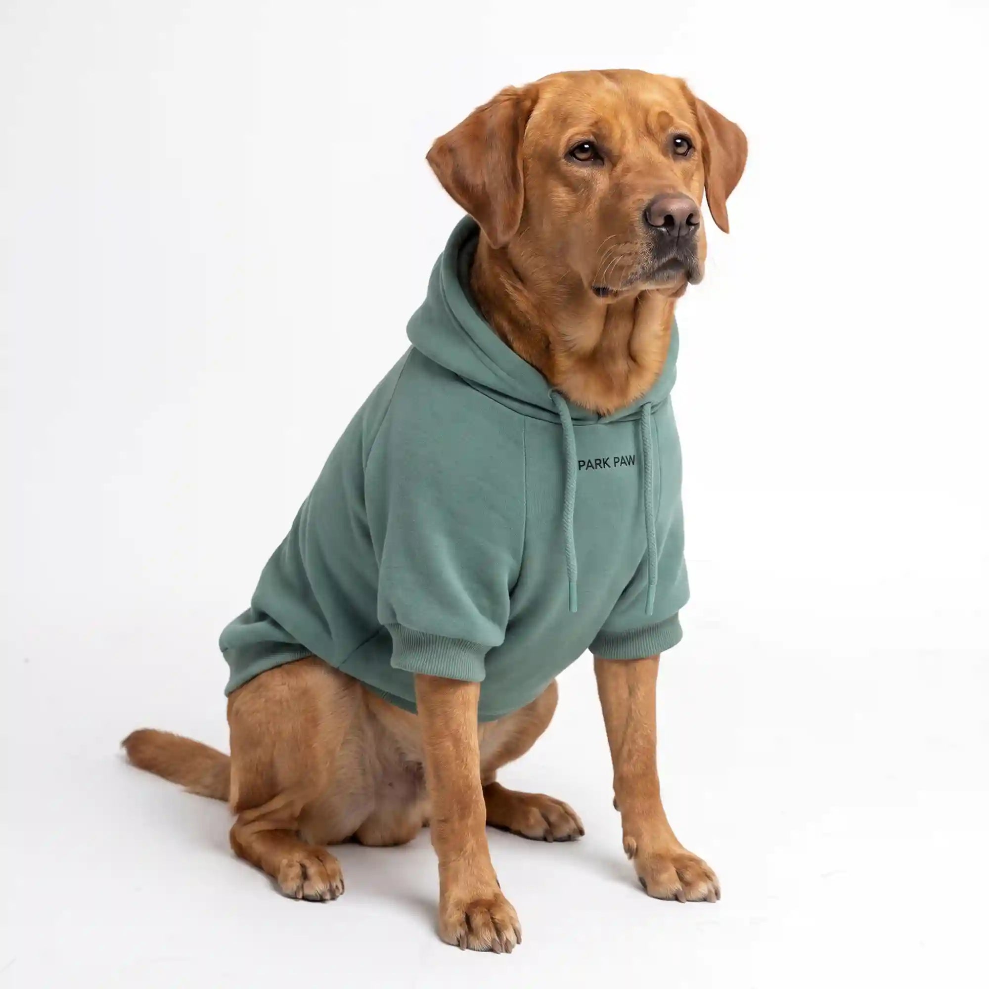 sparkpawsmaut.com