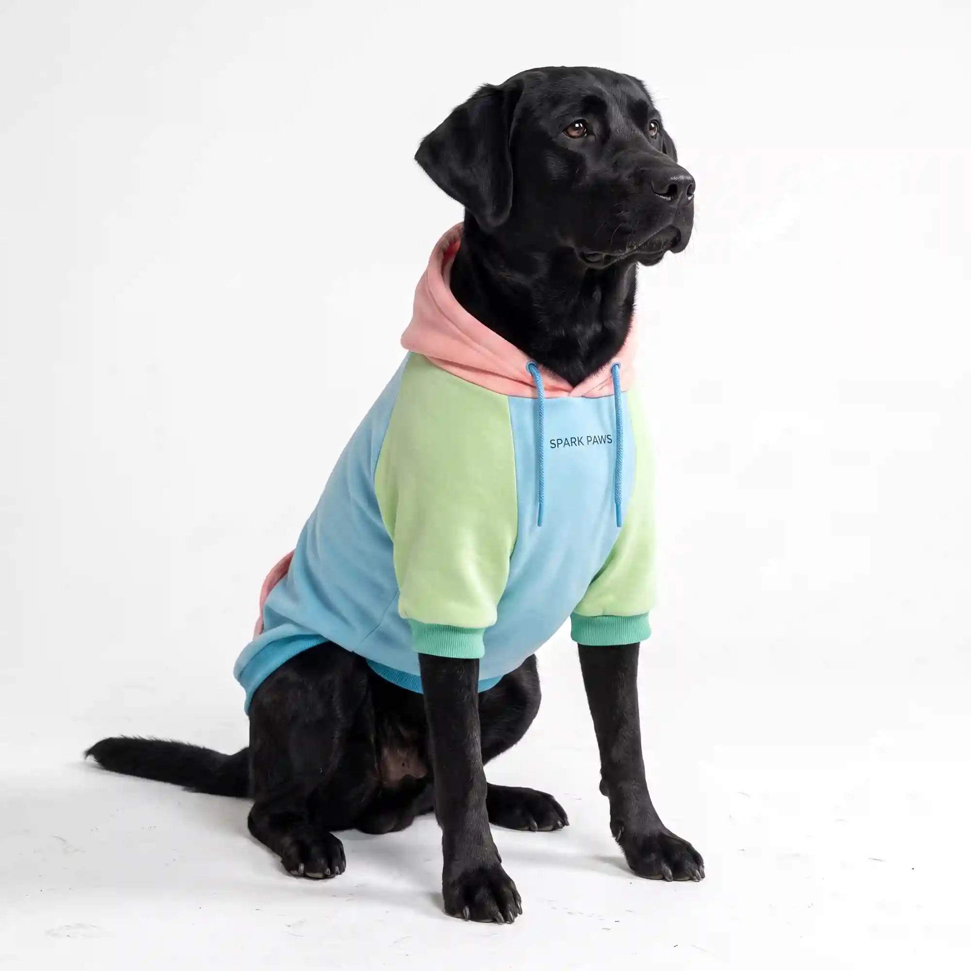 sparkpawsmaut.com