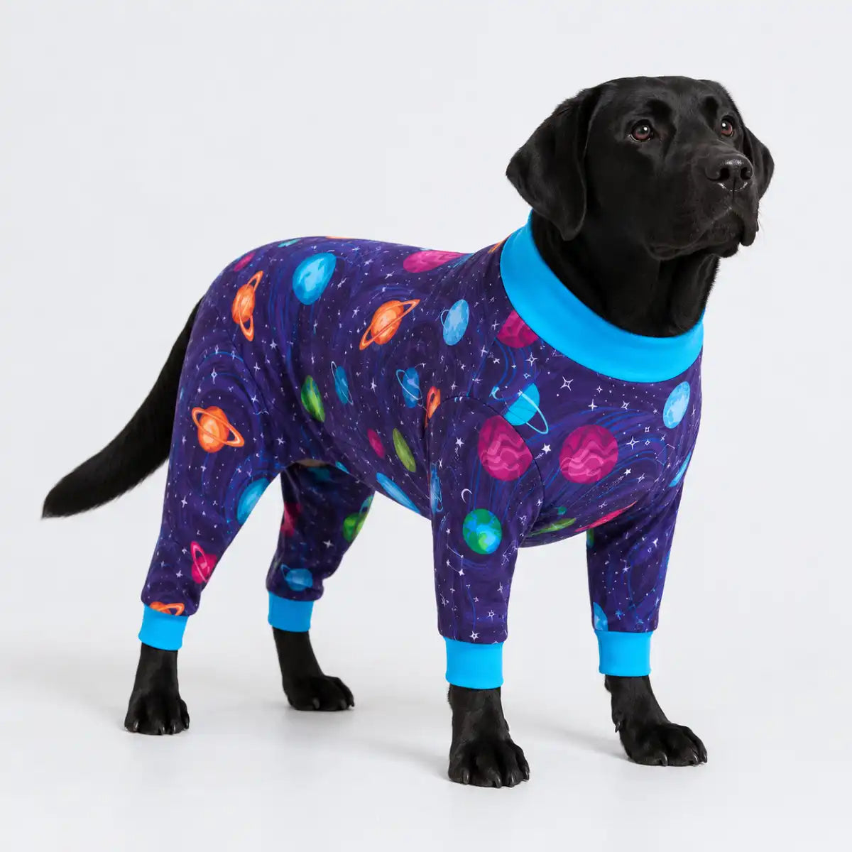 sparkpawsmaut.com