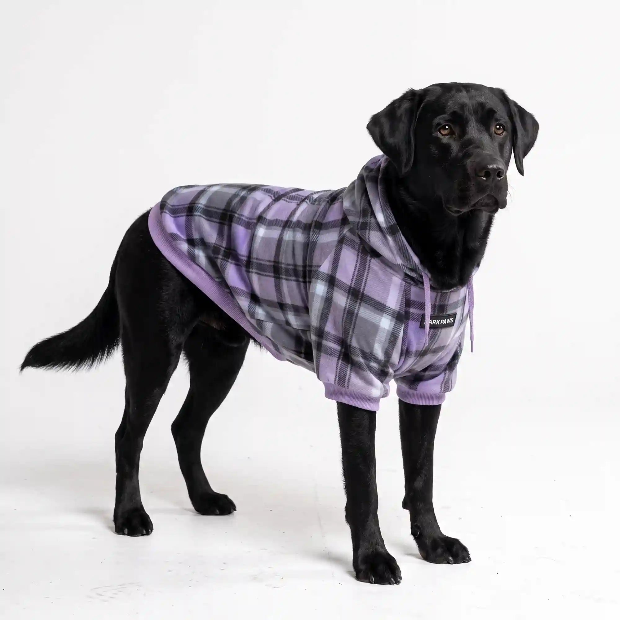 sparkpawsmaut.com