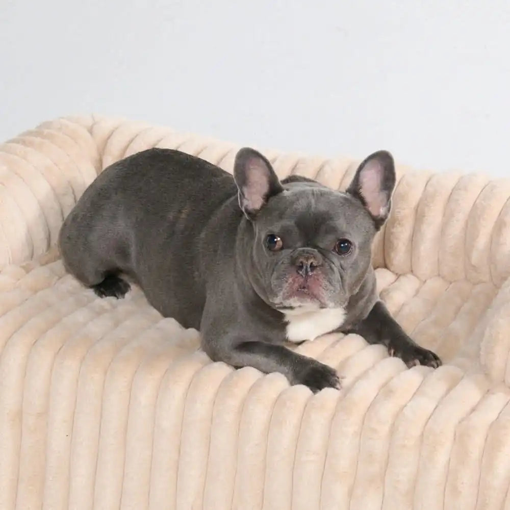 sparkpawsmaut.com