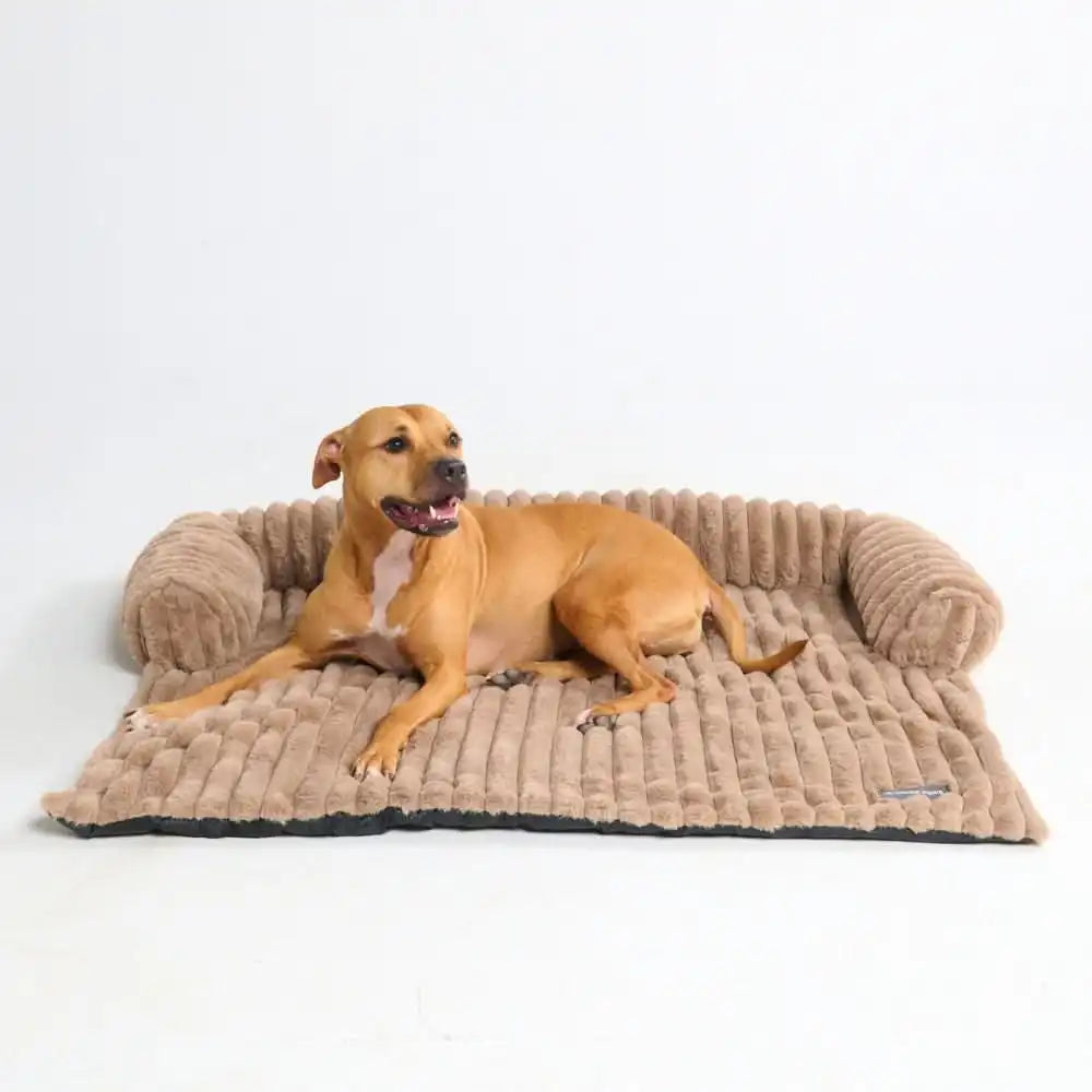 sparkpawsmaut.com