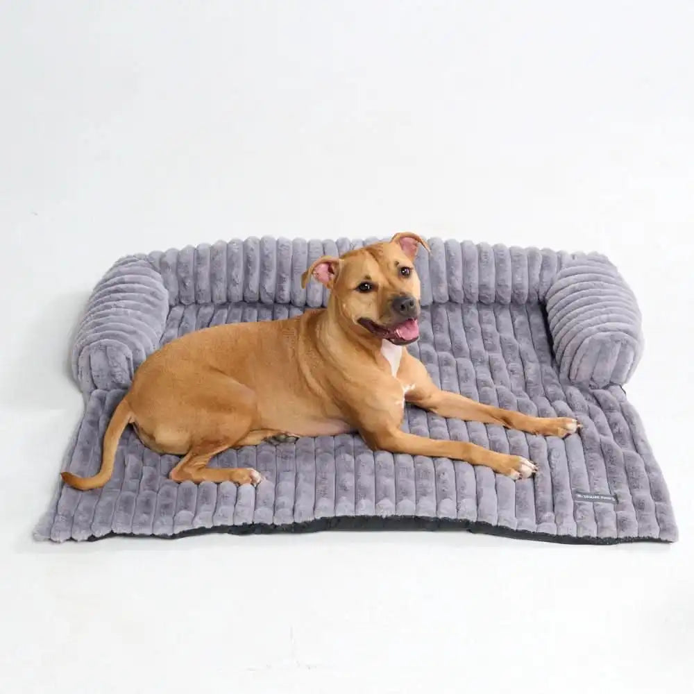 sparkpawsmaut.com