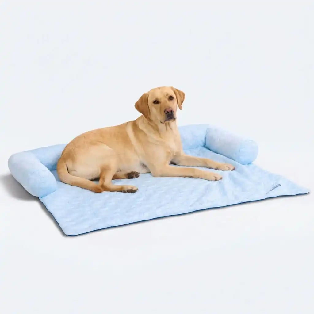 sparkpawsmaut.com
