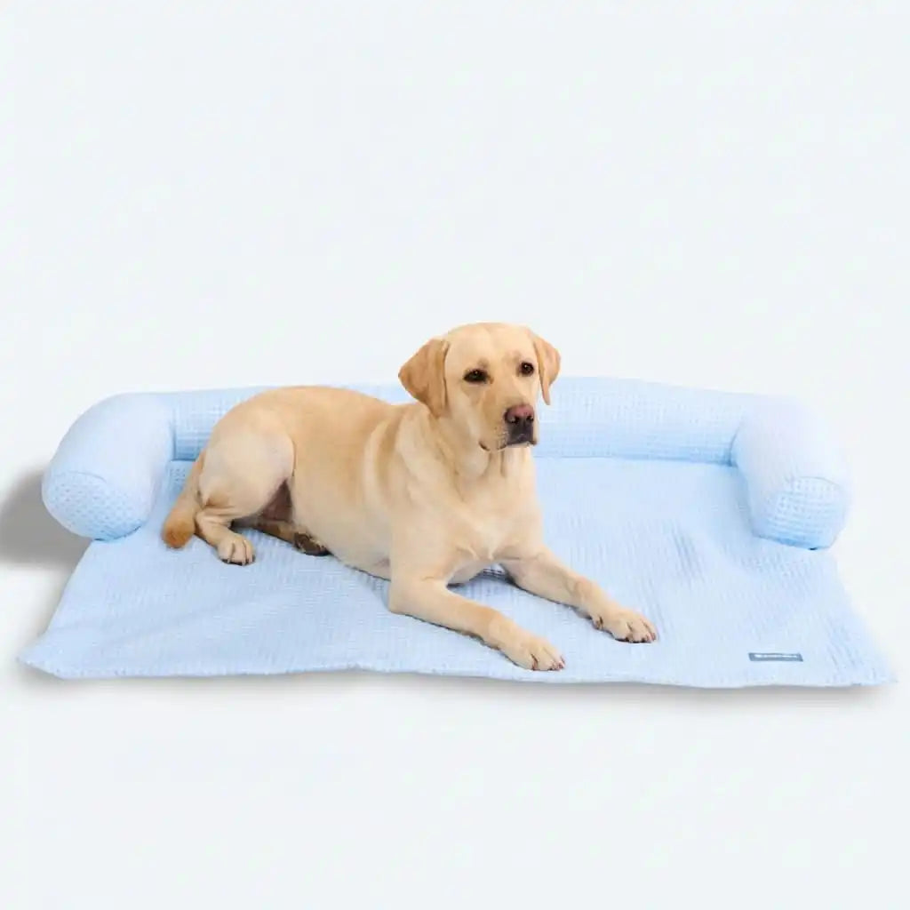 sparkpawsmaut.com