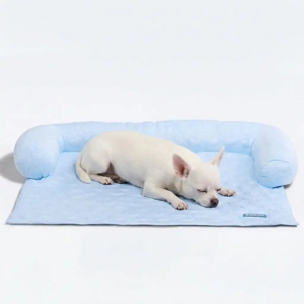sparkpawsmaut.com
