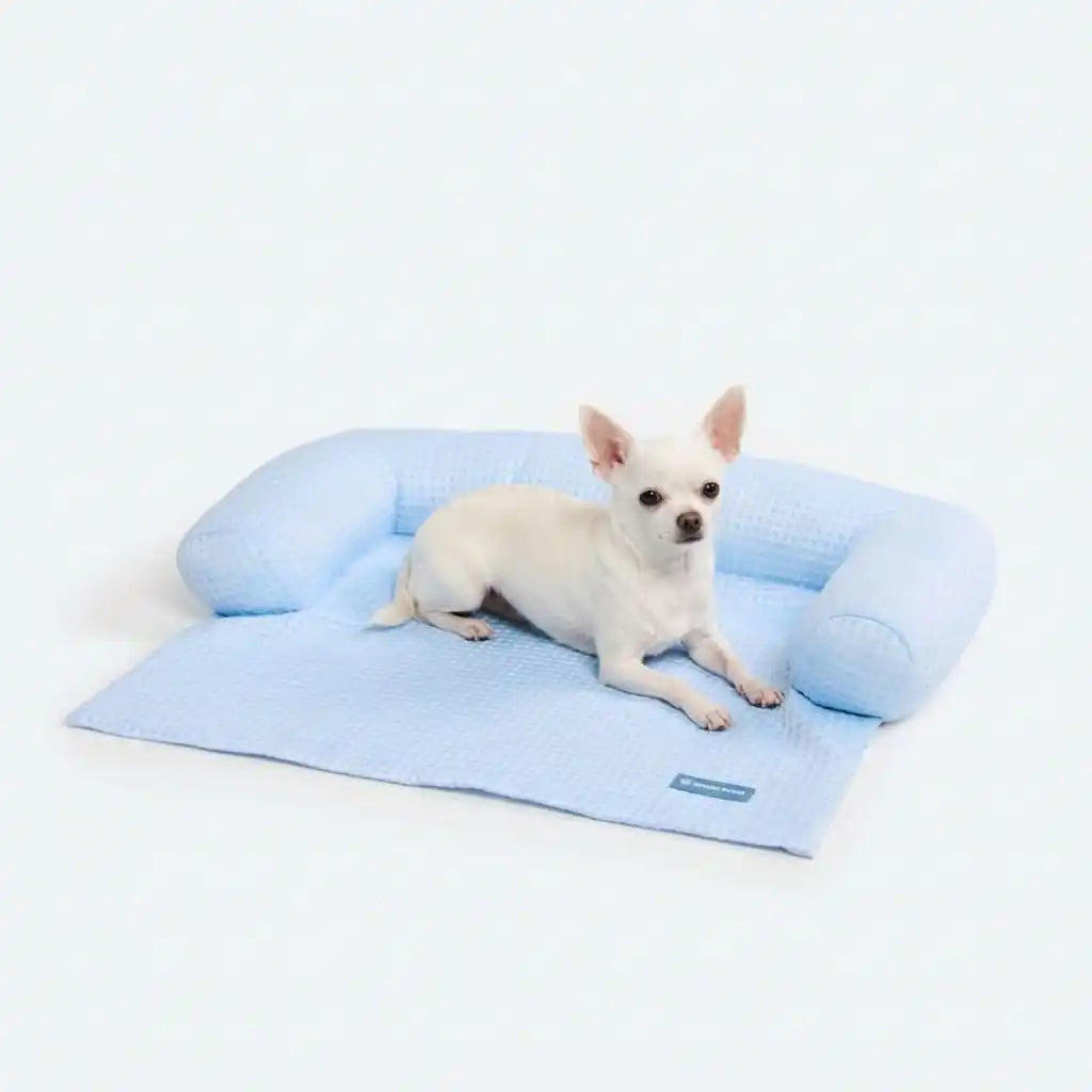 sparkpawsmaut.com