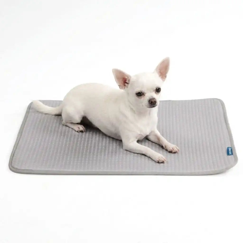 sparkpawsmaut.com