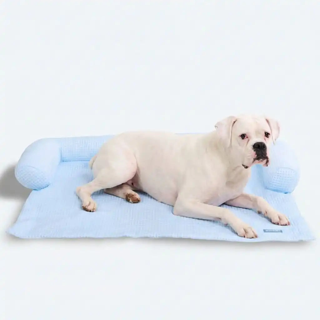 sparkpawsmaut.com