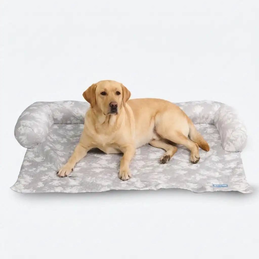 sparkpawsmaut.com