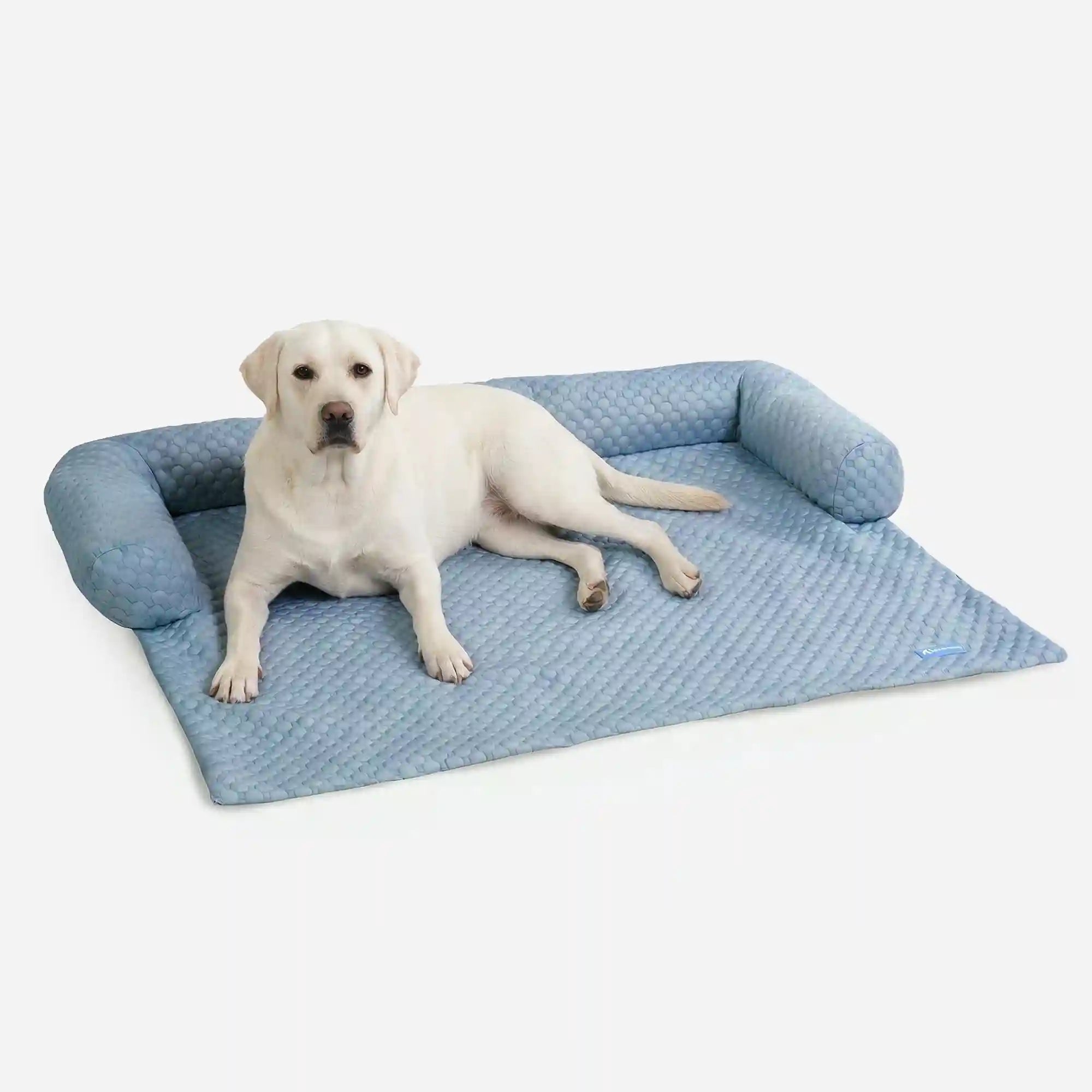 sparkpawsmaut.com