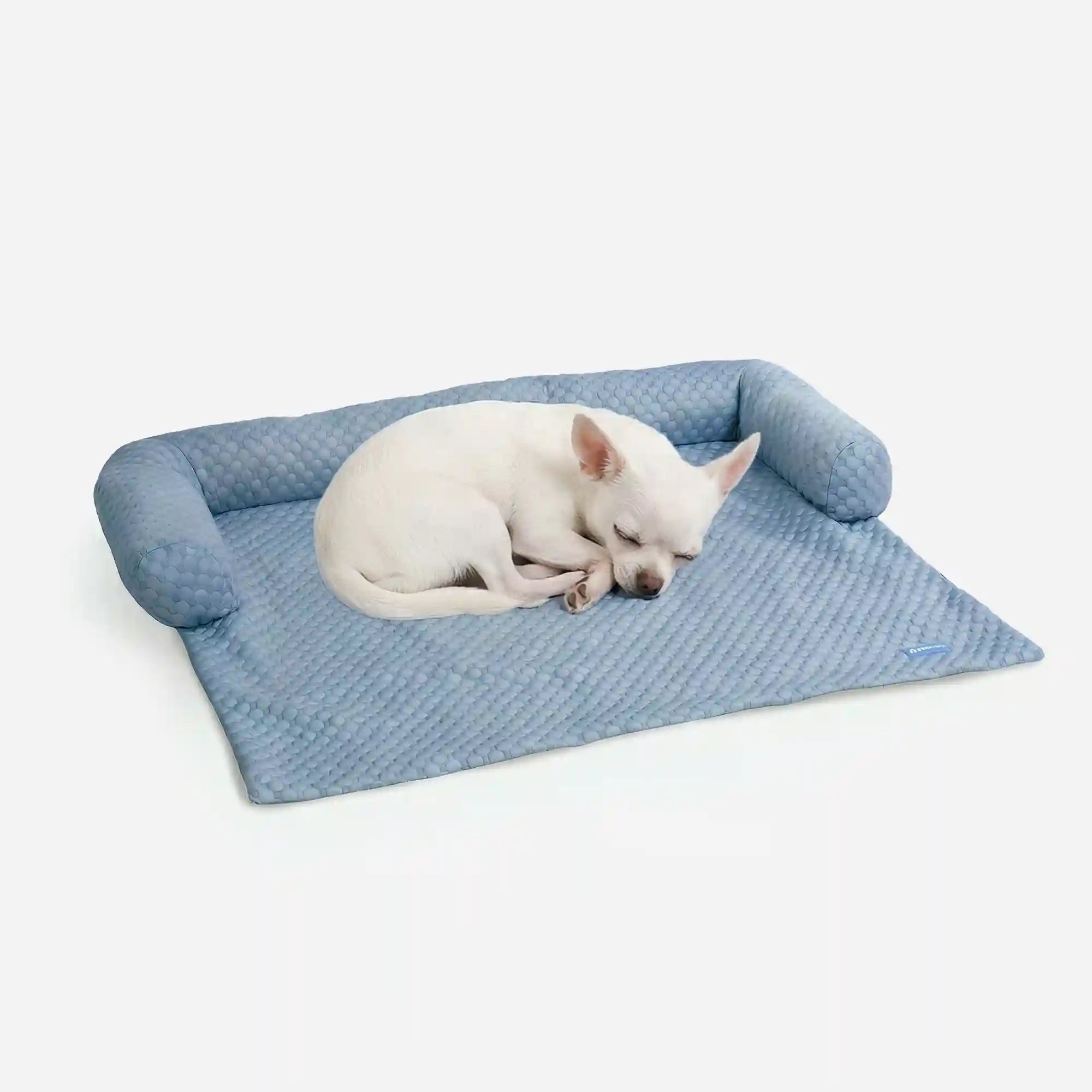 sparkpawsmaut.com