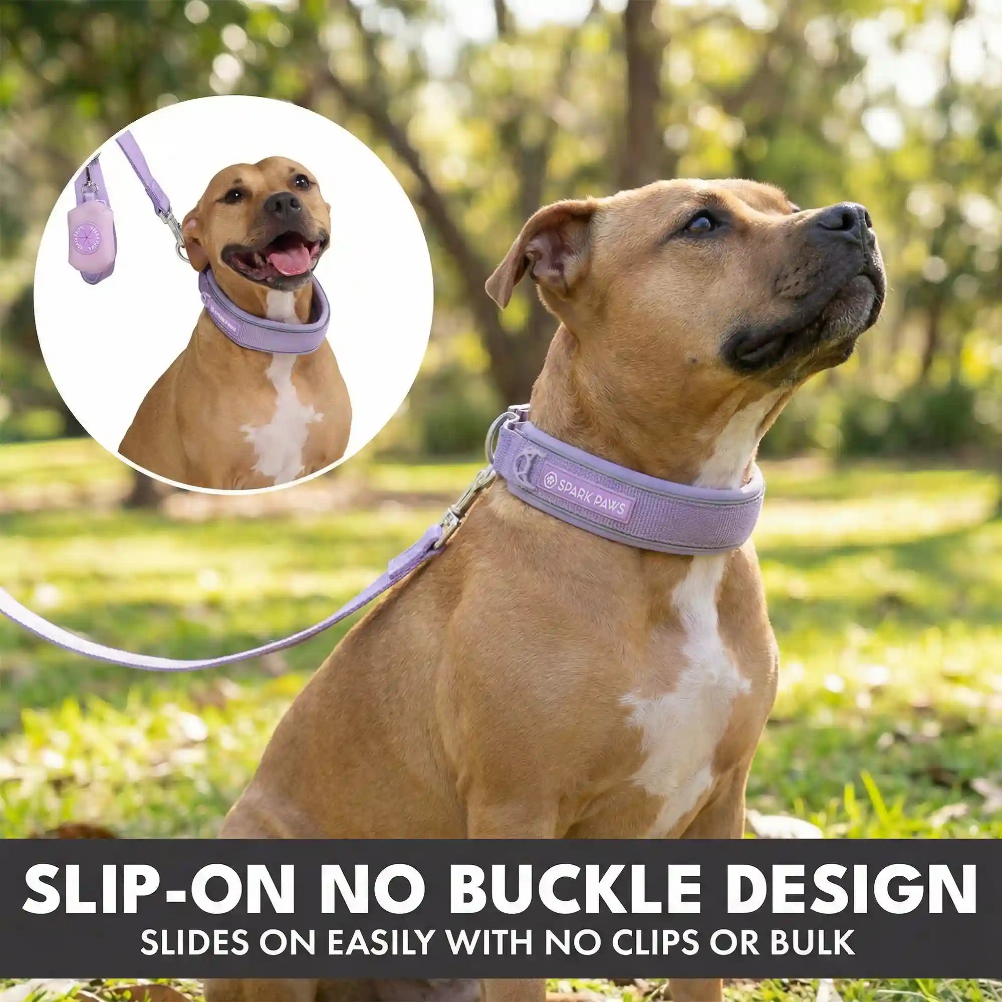 sparkpawsmaut.com