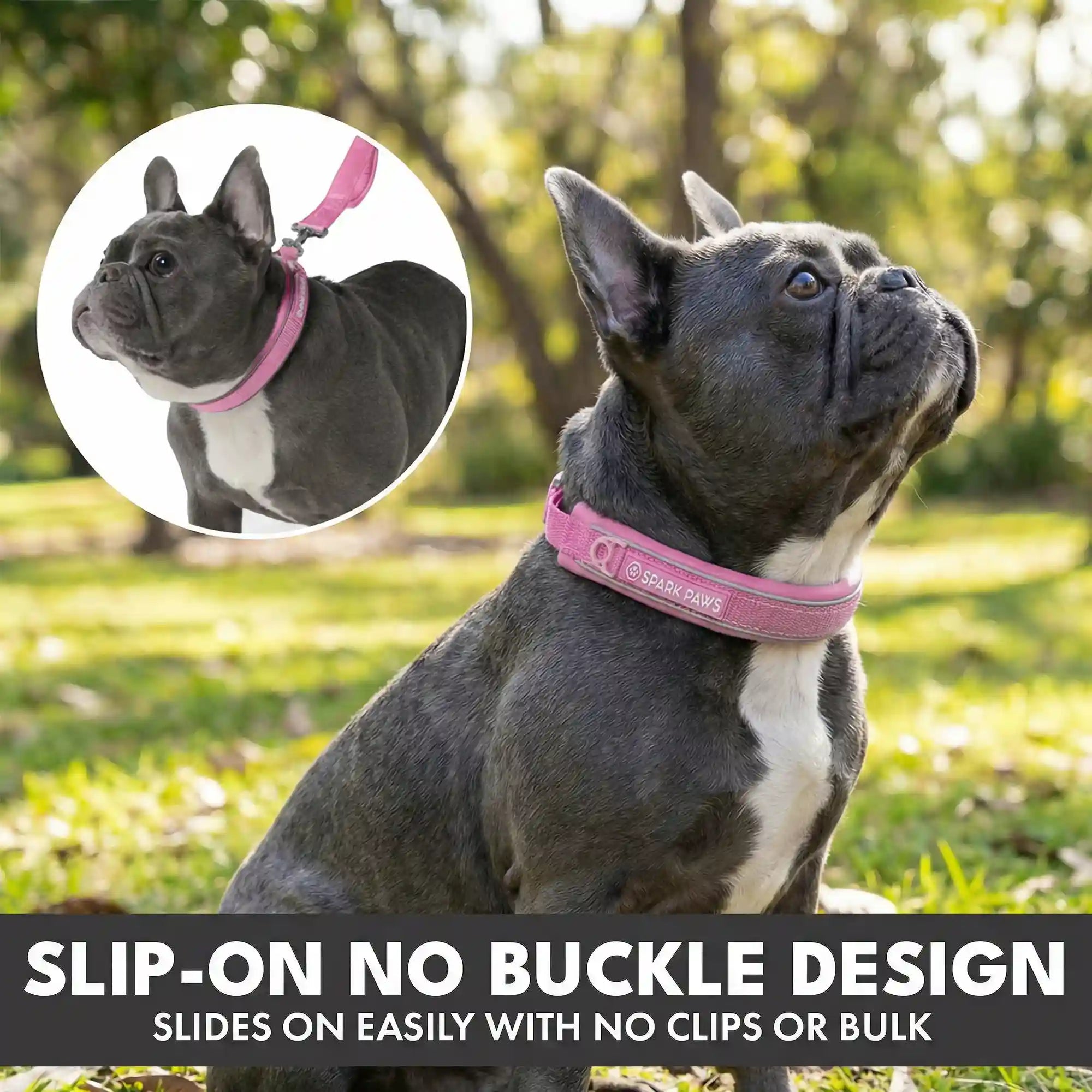 sparkpawsmaut.com